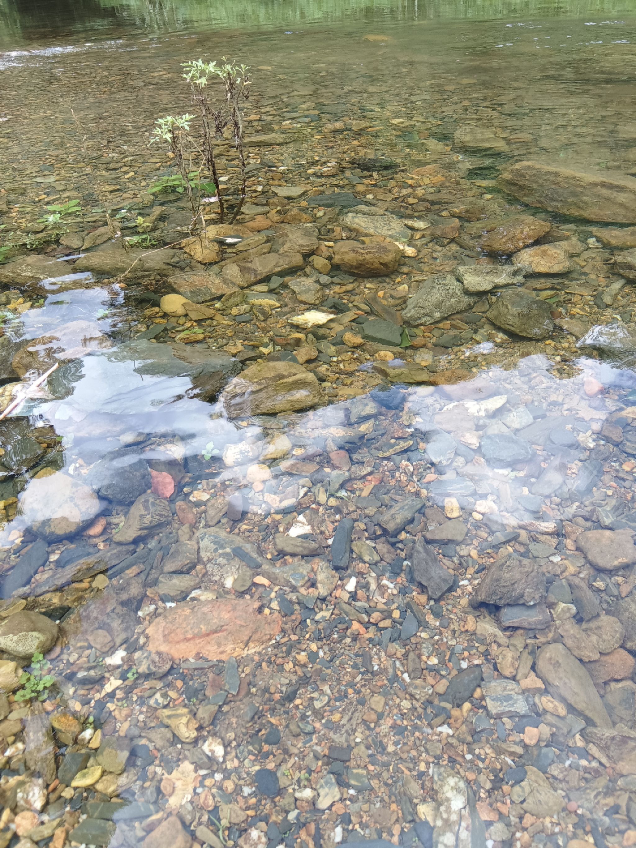 龙涎瀑布旅行图片 1