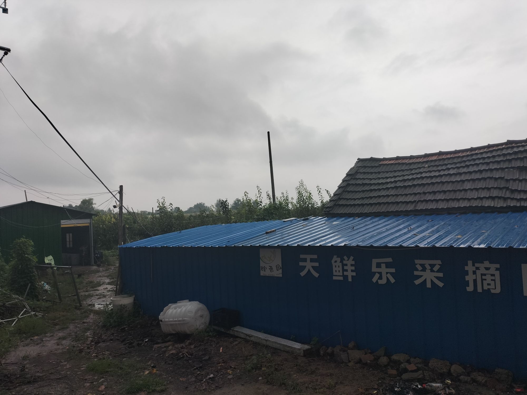 涡阳县天鲜乐果蔬采摘农场