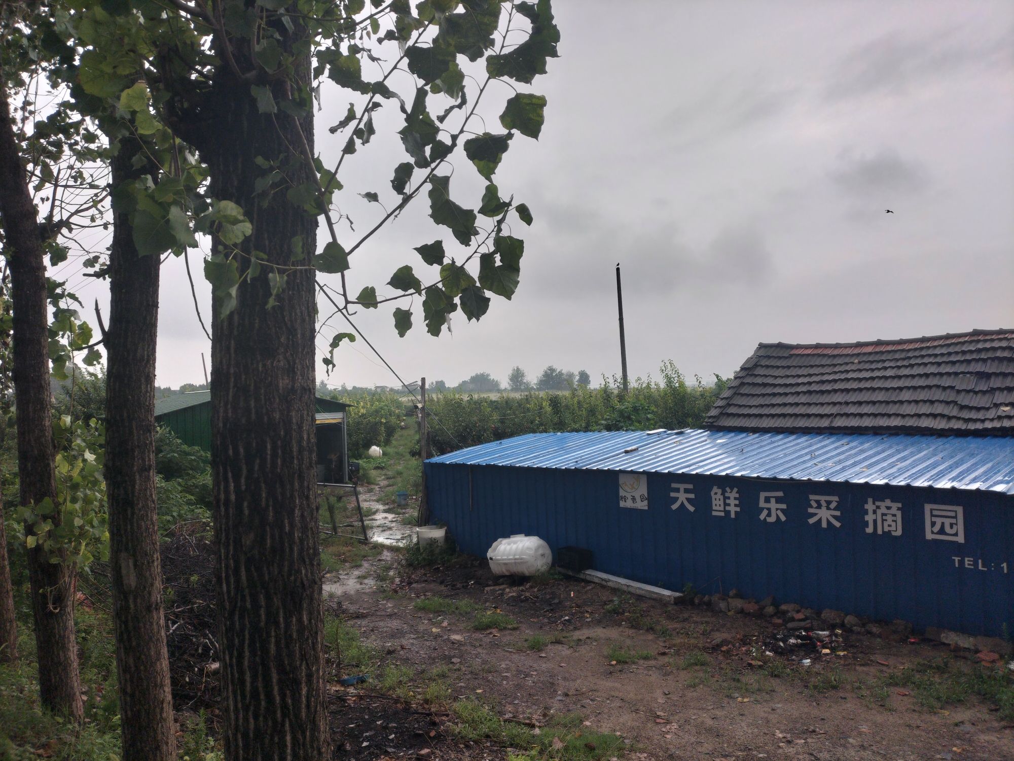 涡阳县天鲜乐果蔬采摘农场