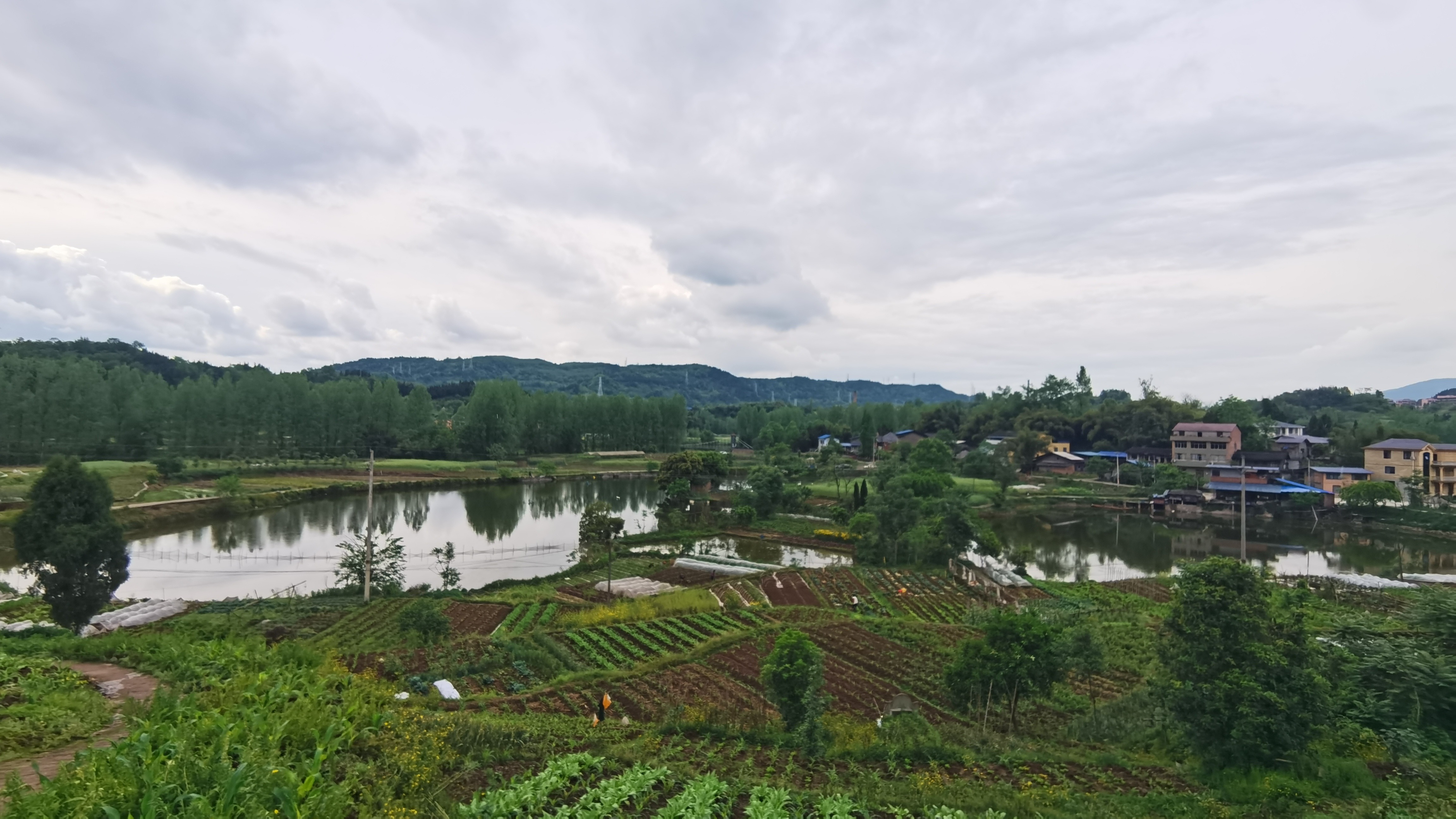 铜钵河生态湿地公园