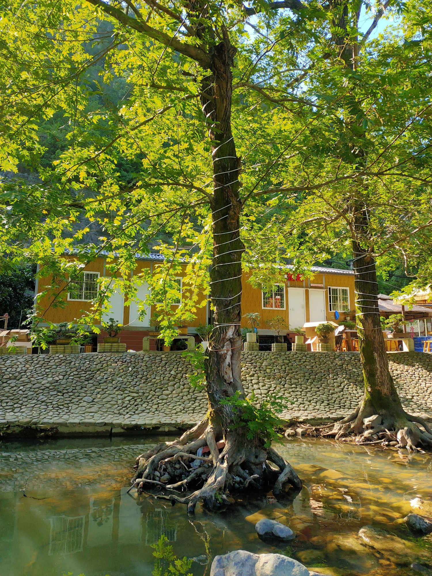 龙珠公园旅行图片 1