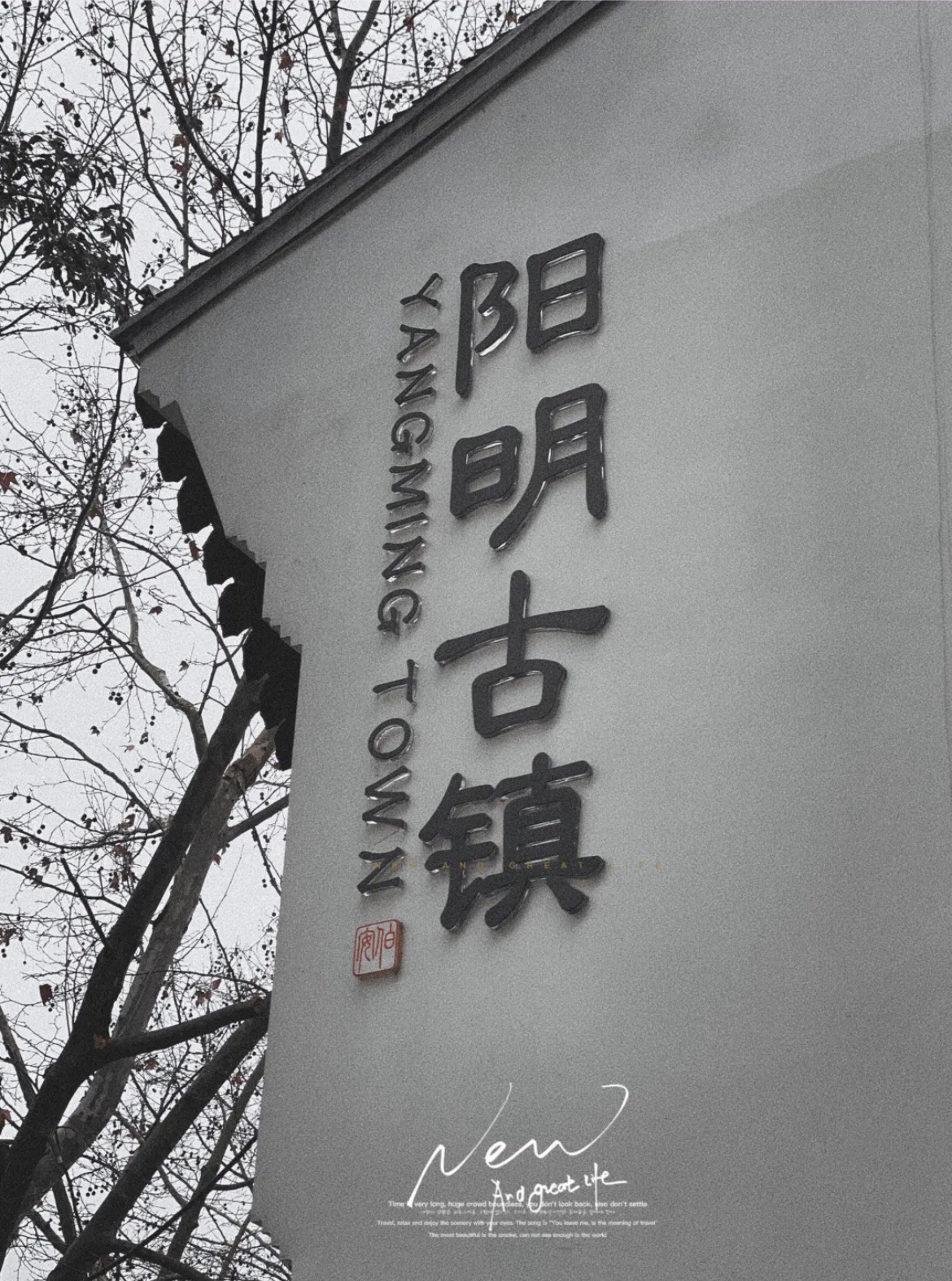 阳明古镇·府前路历史文化街区旅行图片 1