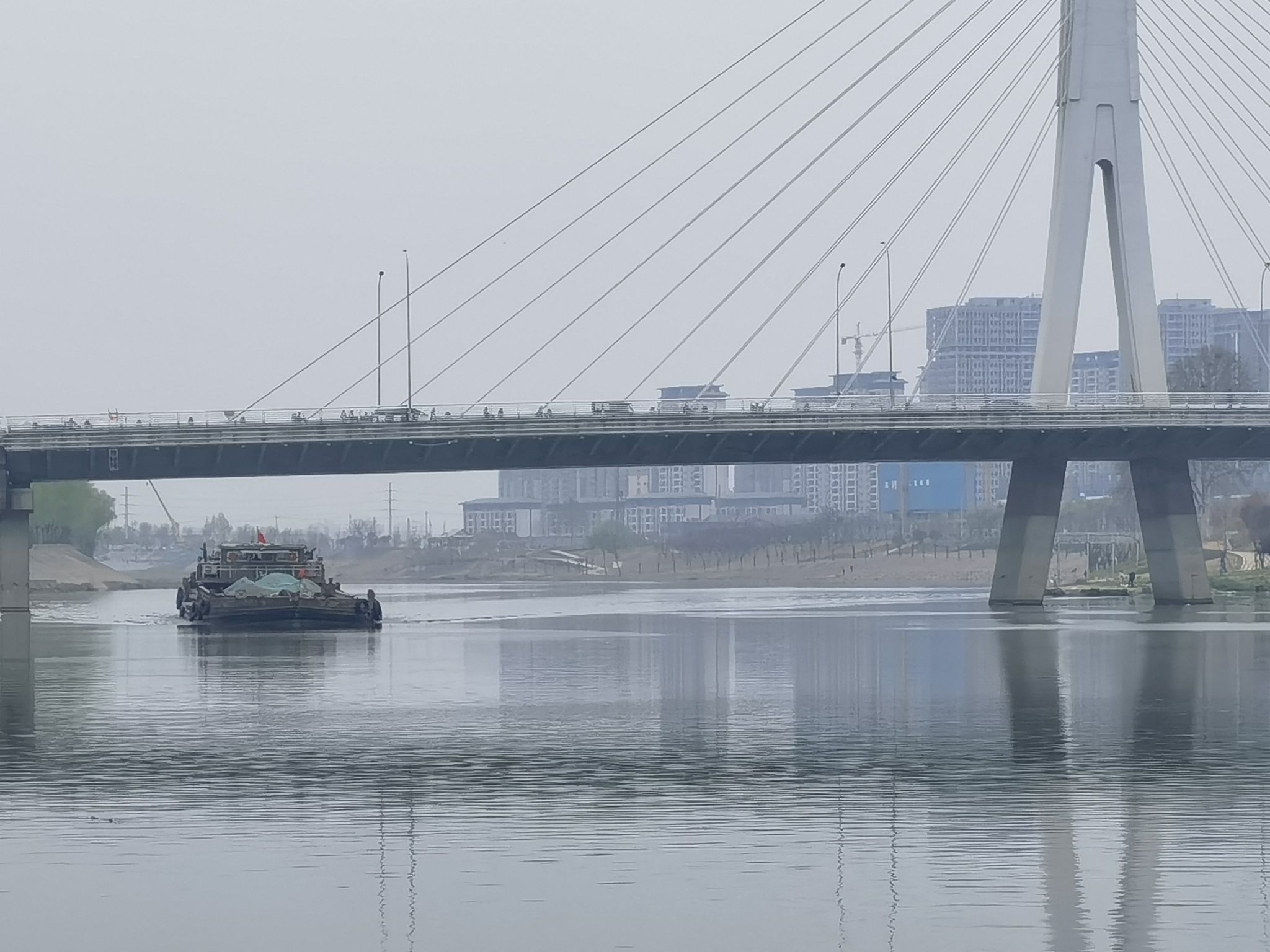 沙颍河湿地公园旅行图片 2