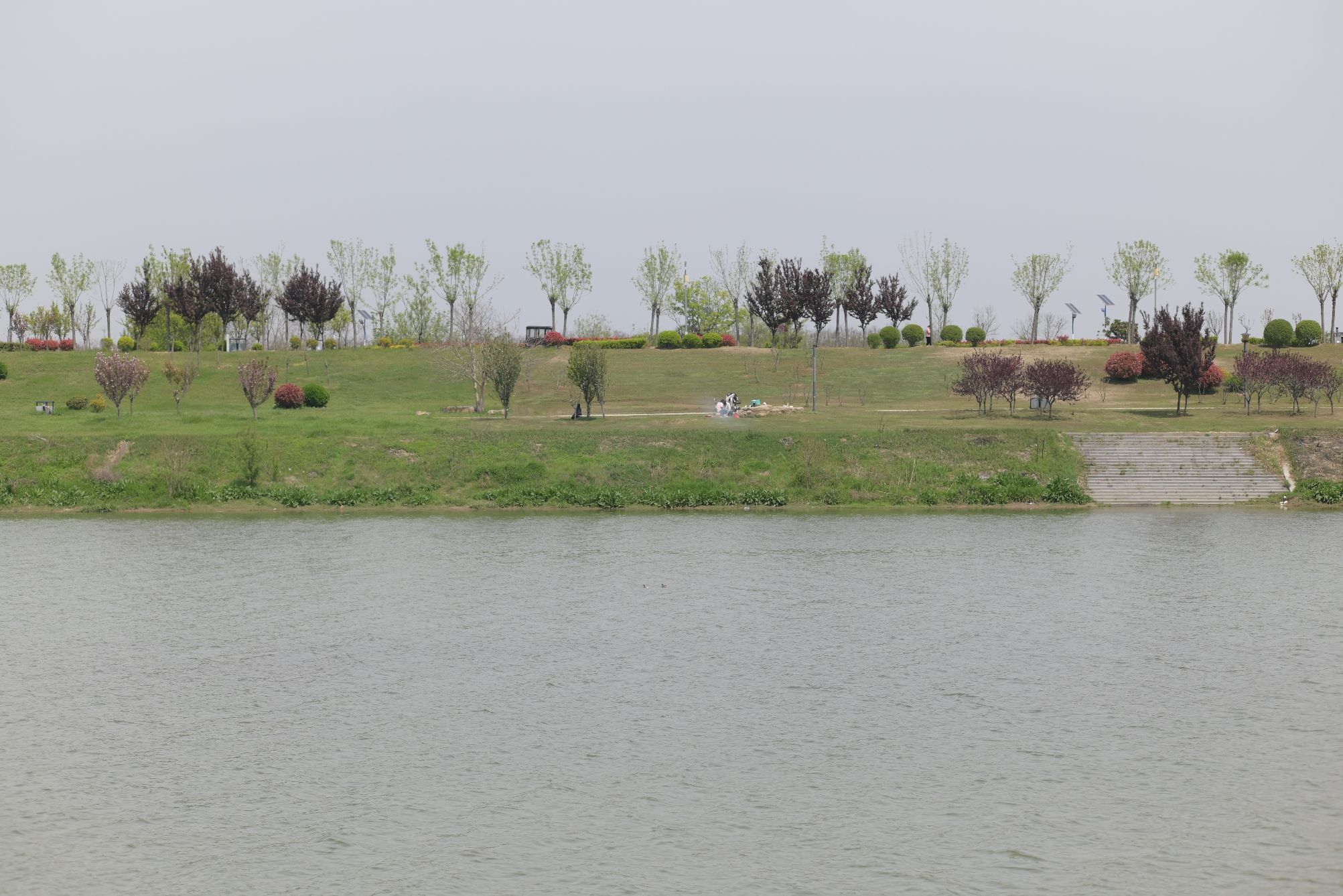 沙颍河湿地公园旅行图片 1