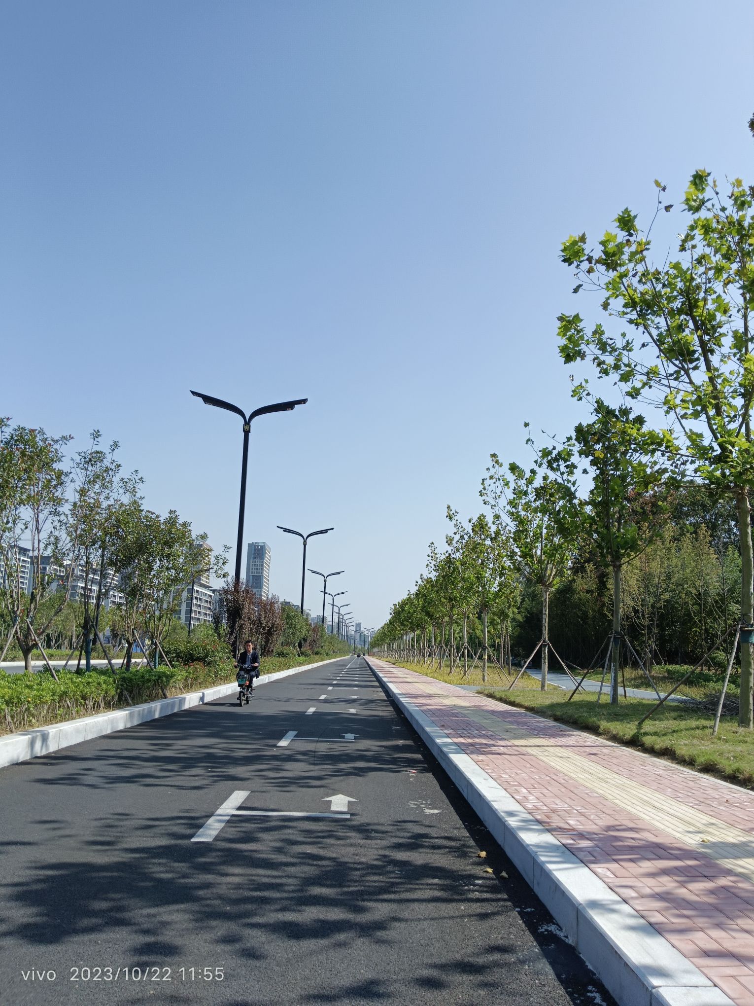 沙颍河湿地公园旅行图片 3