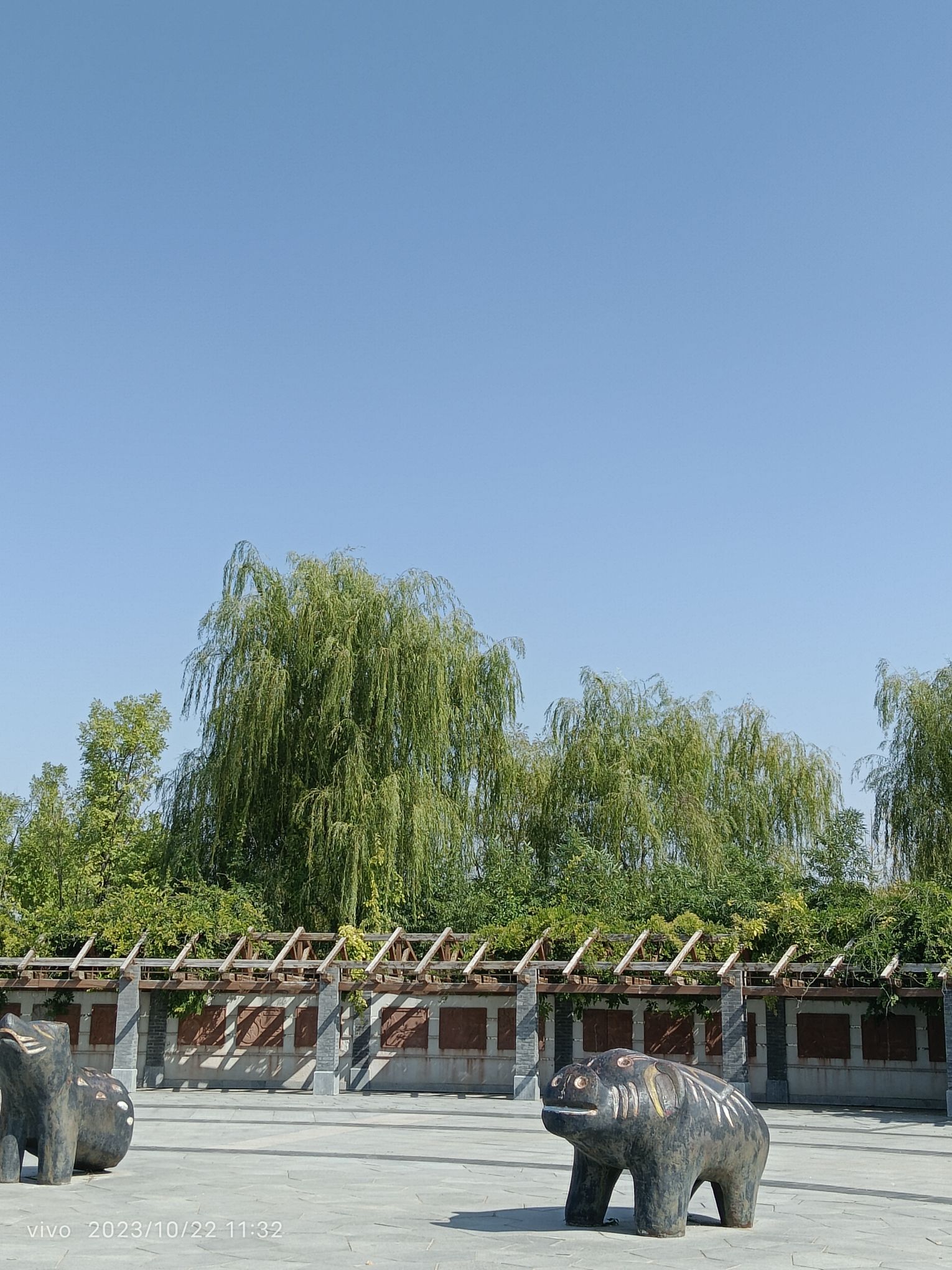 沙颍河湿地公园旅行图片 2
