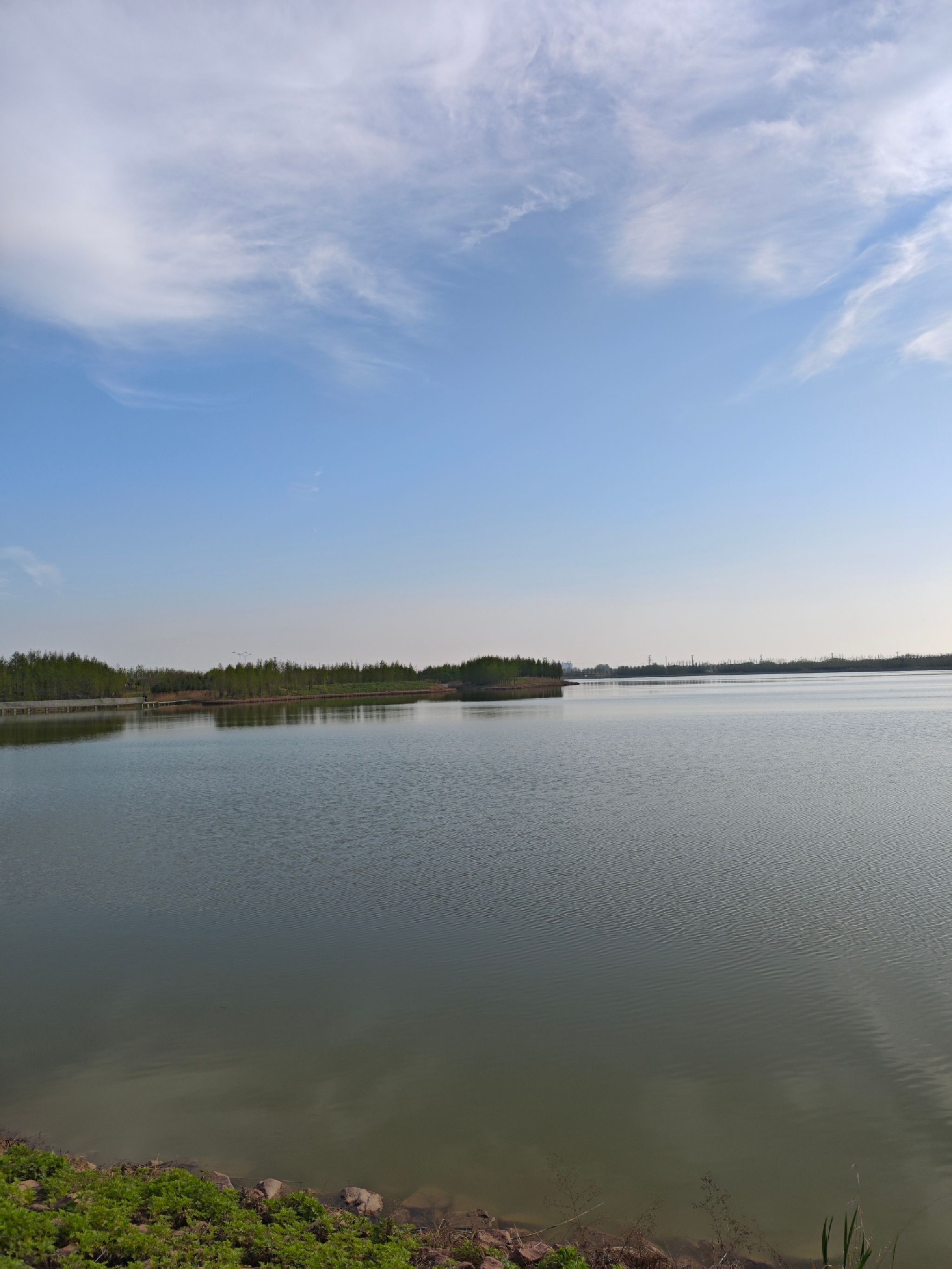 沙颍河湿地公园旅行图片 1