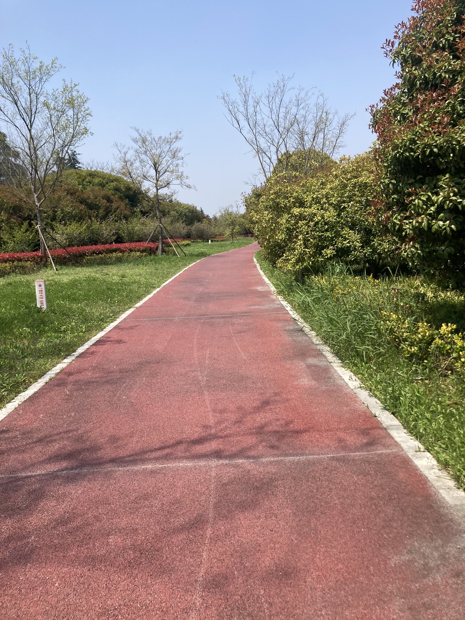 东苕溪水云绿道旅行图片 2