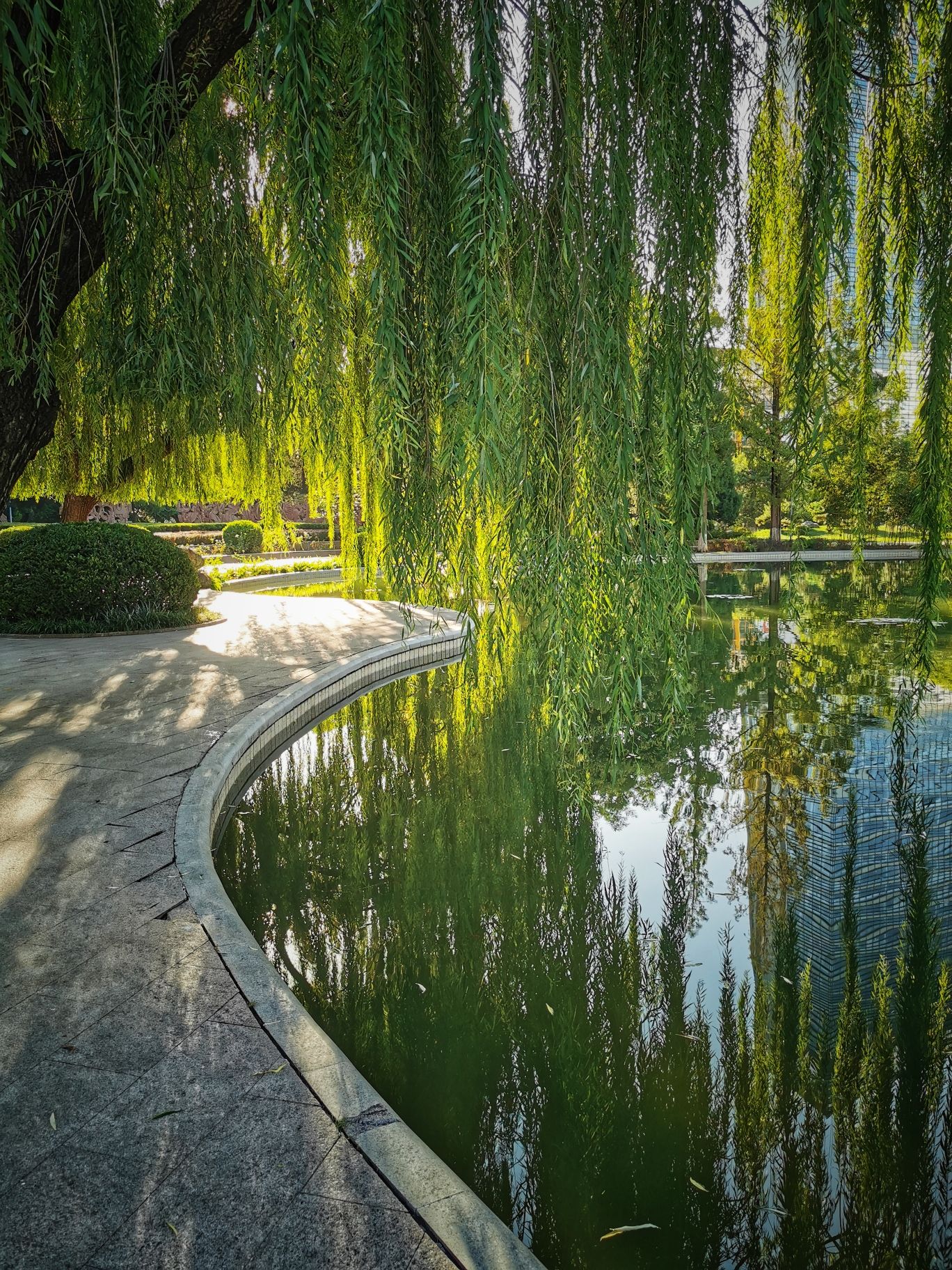 北辰中心花园小微湿地