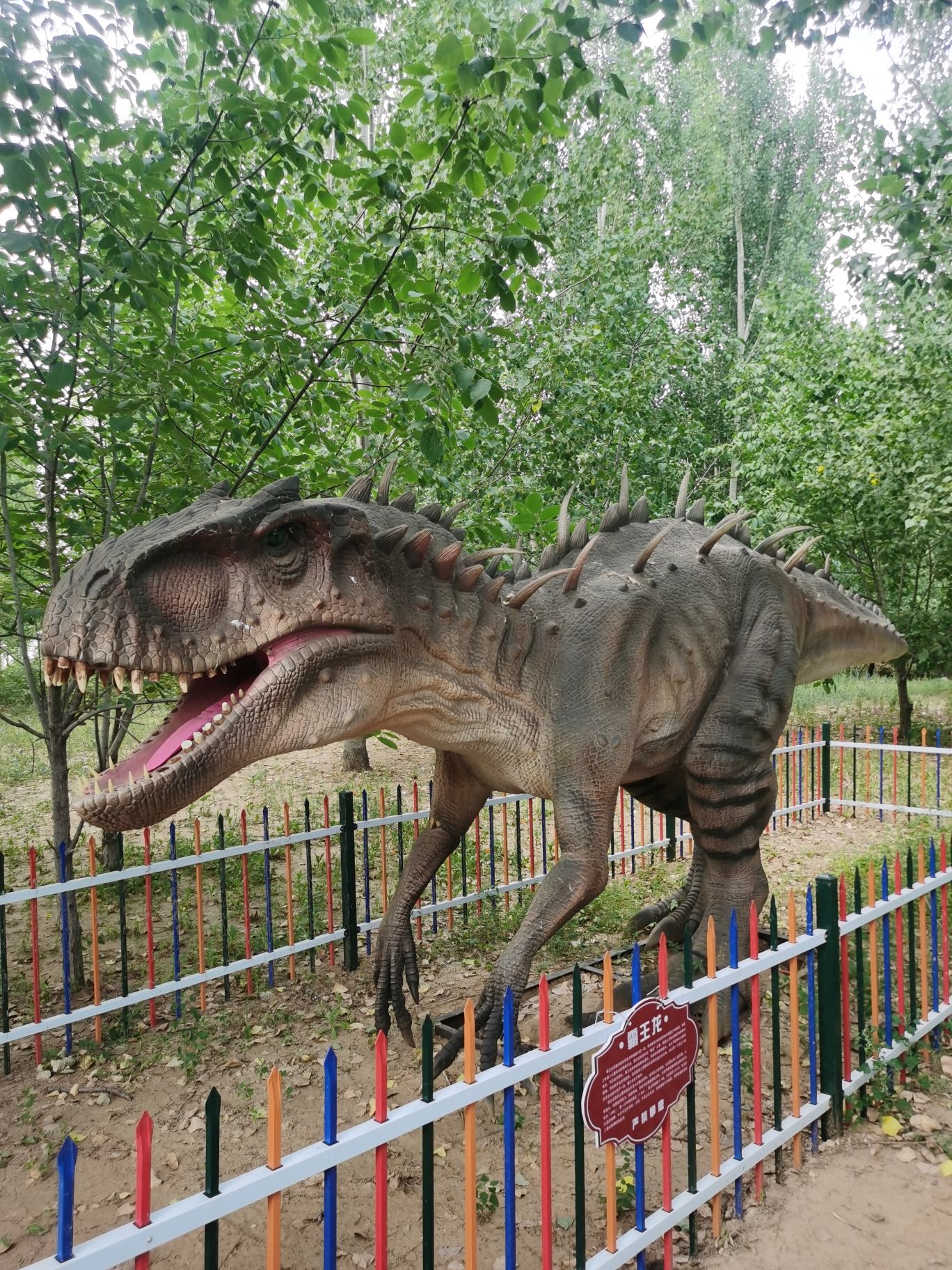 九龙湾湿地景区旅行图片 3
