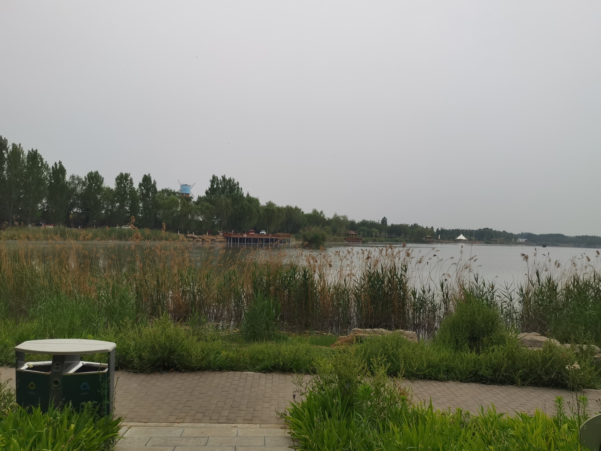 九龙湾湿地景区旅行图片 1