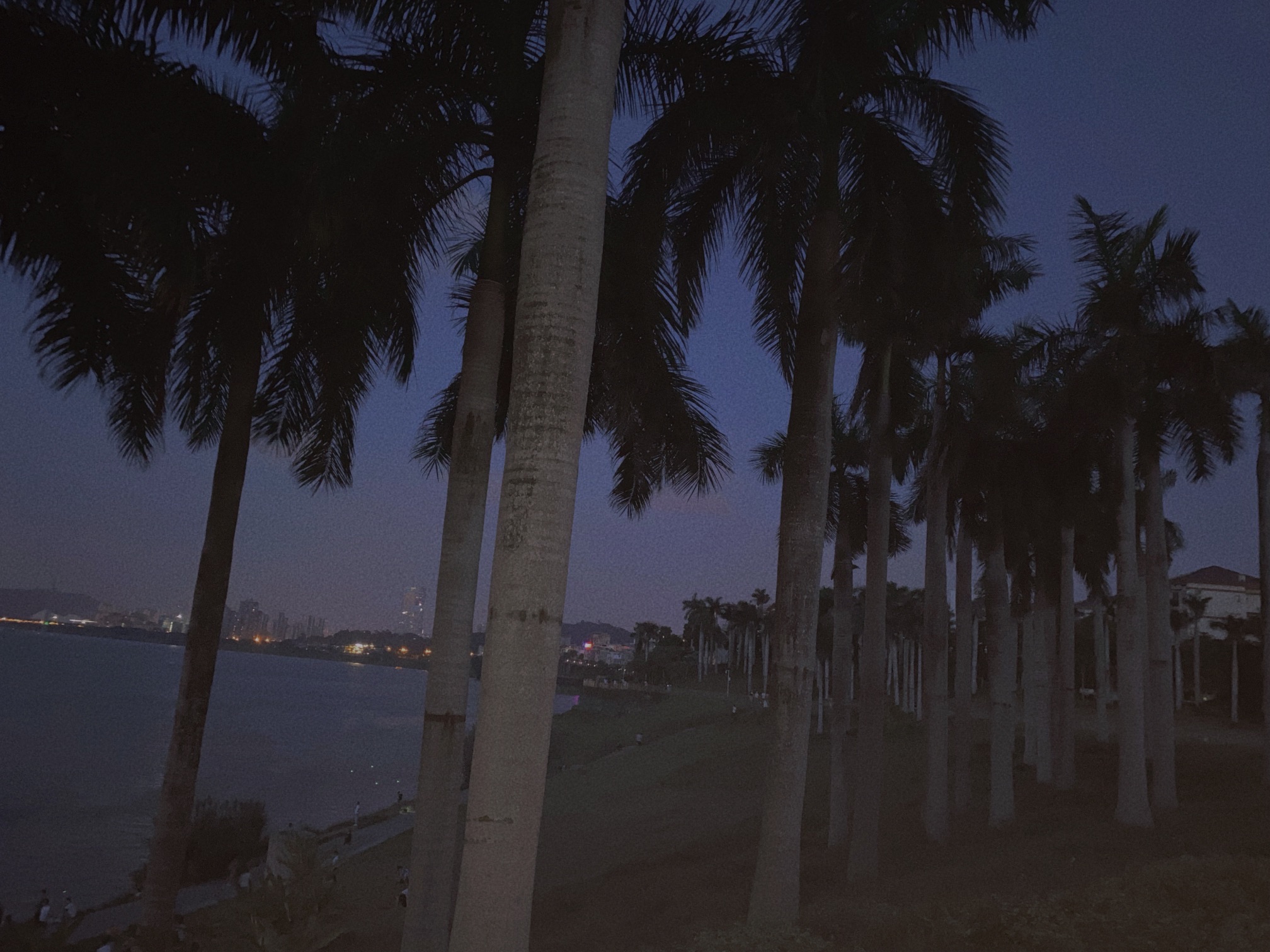 邕江南岸江滨公园旅行图片 2