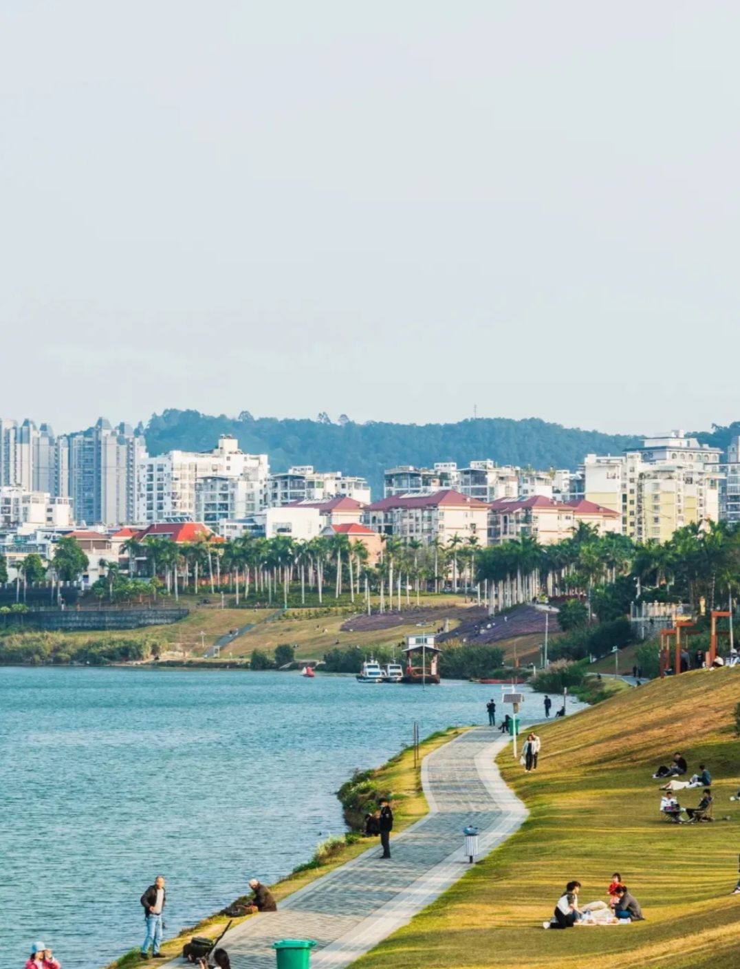 邕江南岸江滨公园旅行图片 1