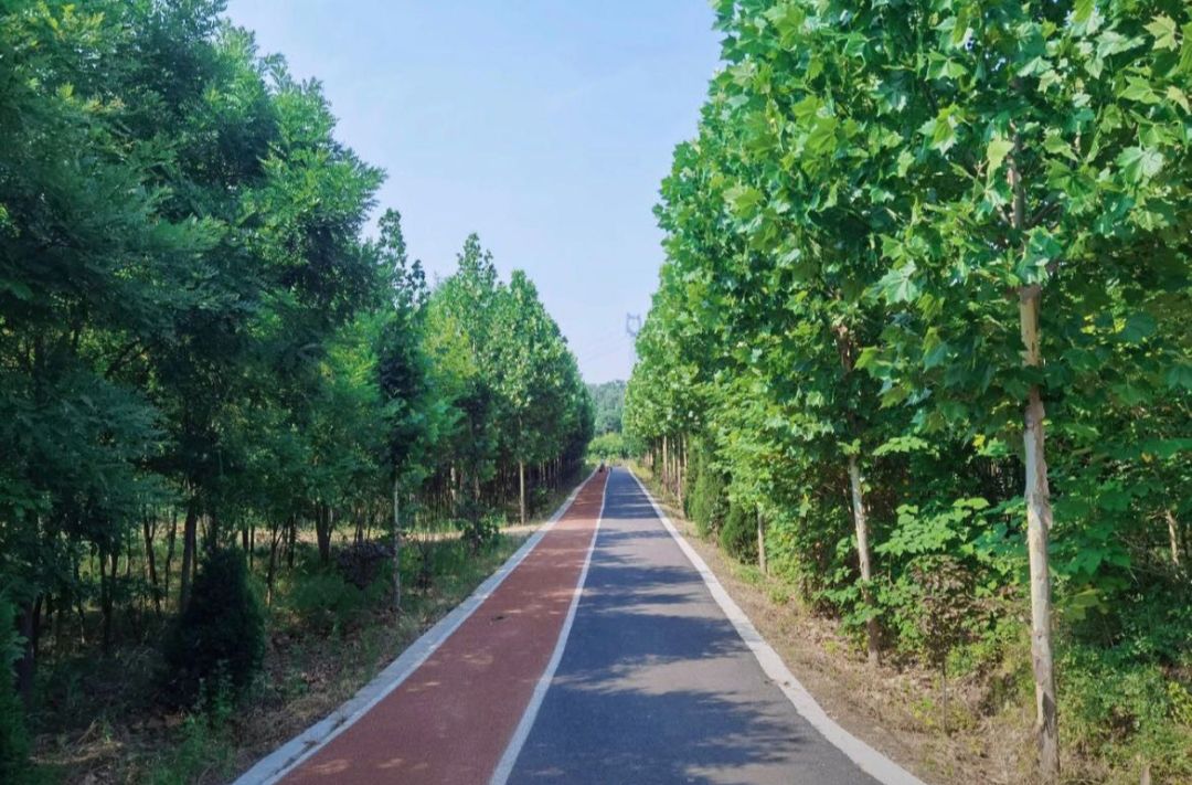 闻喜县峨嵋岭森林公园旅行图片 1