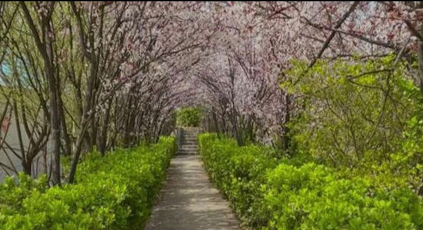 闻喜县峨嵋岭森林公园旅行图片 2