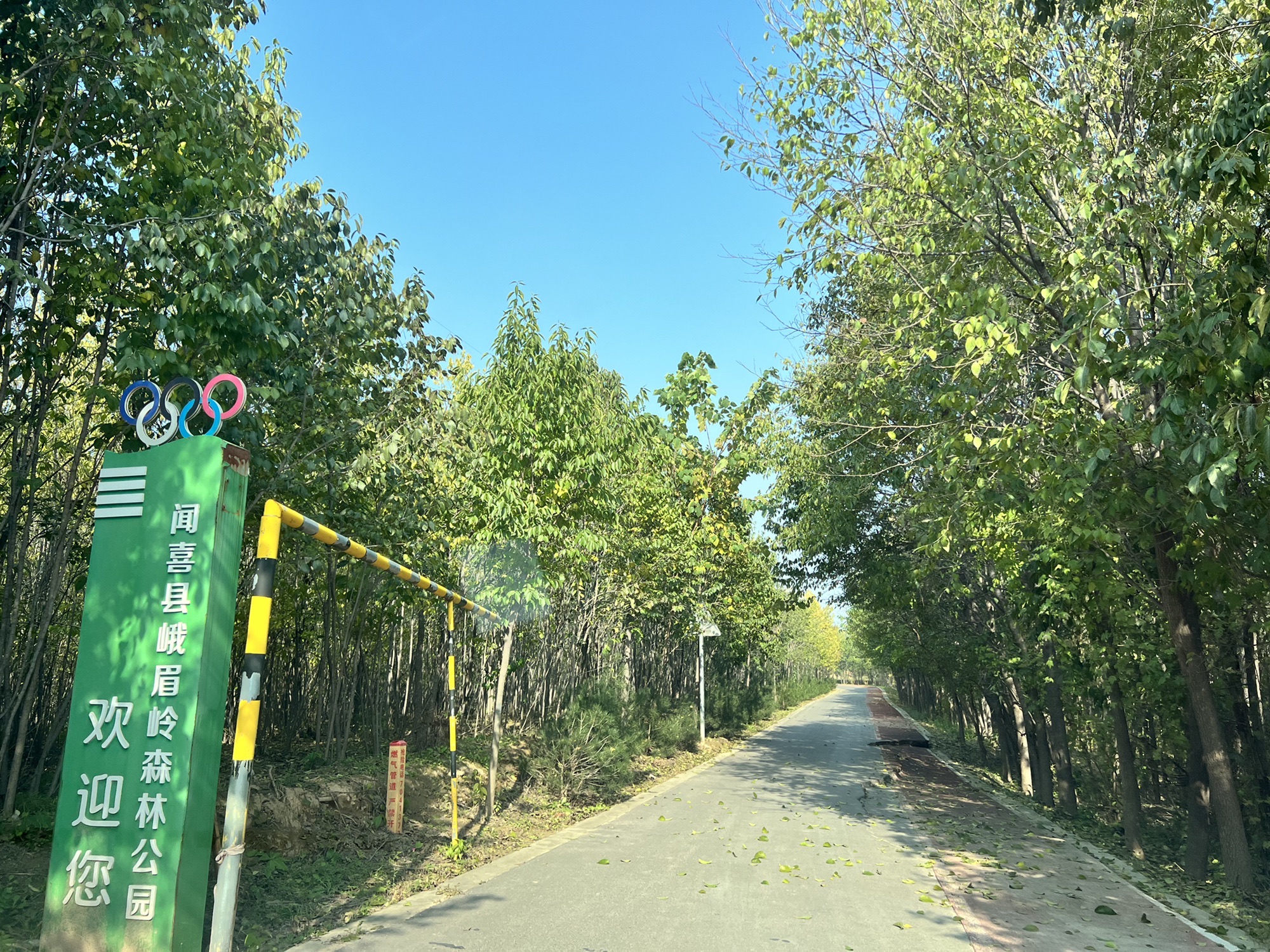 闻喜县峨嵋岭森林公园