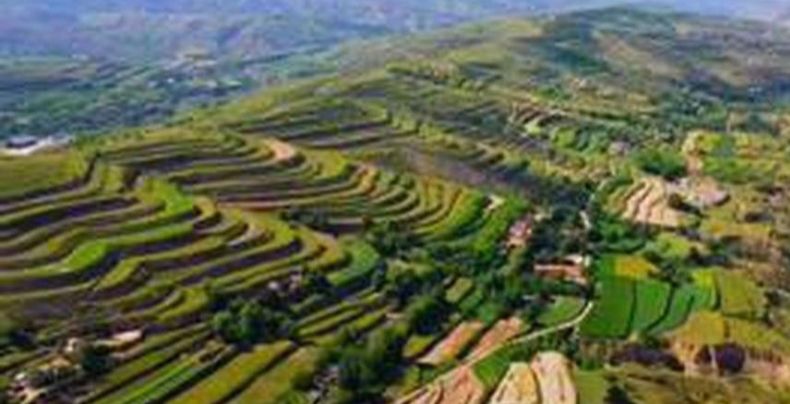 闻喜县峨嵋岭森林公园旅行图片 3