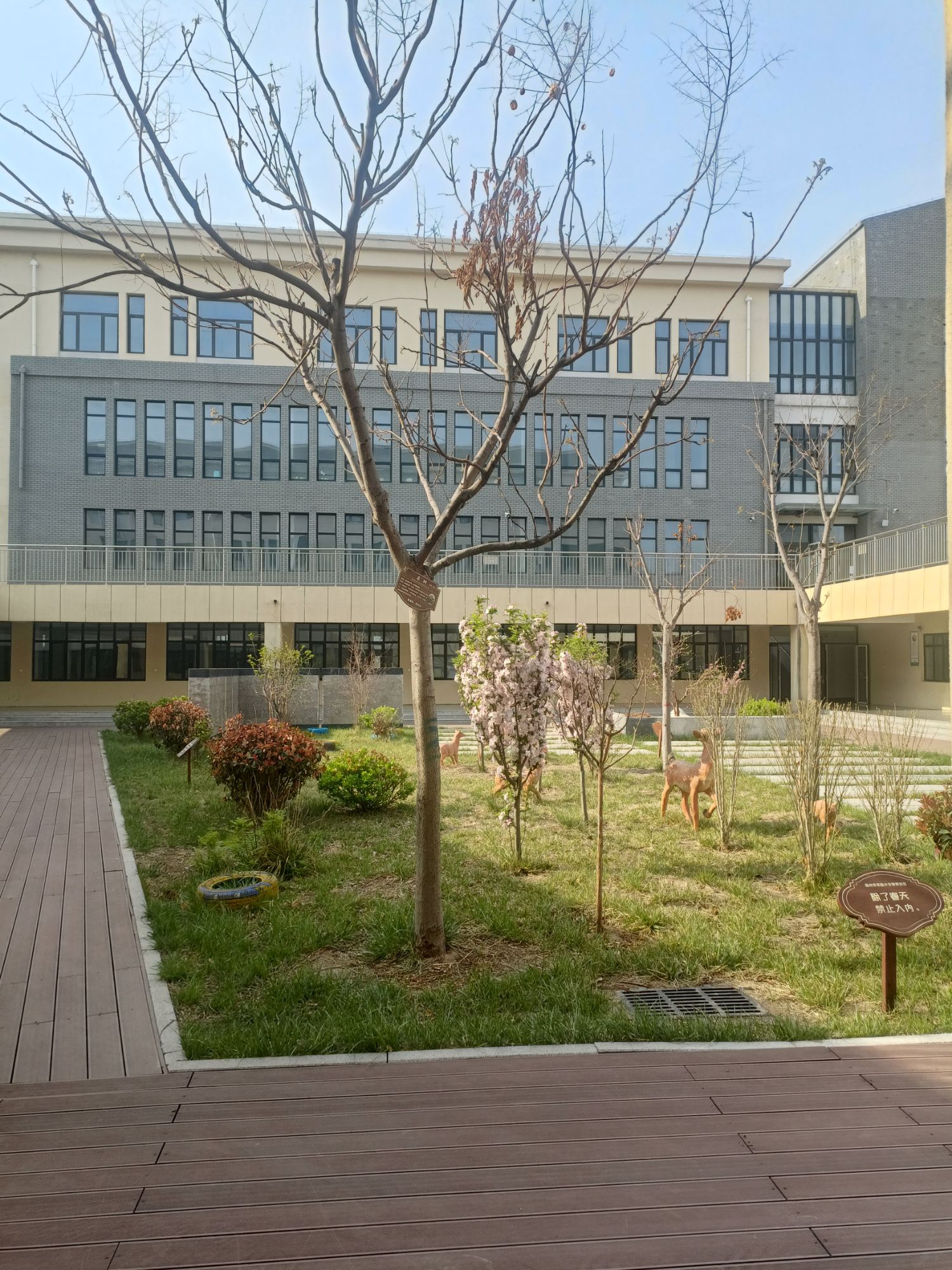 德州市实验小学(春晖校区)