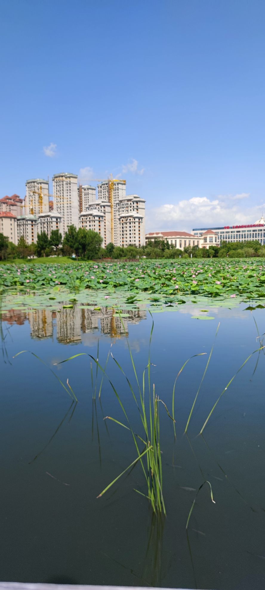 北辰新天地栖凤湖旅行图片 3
