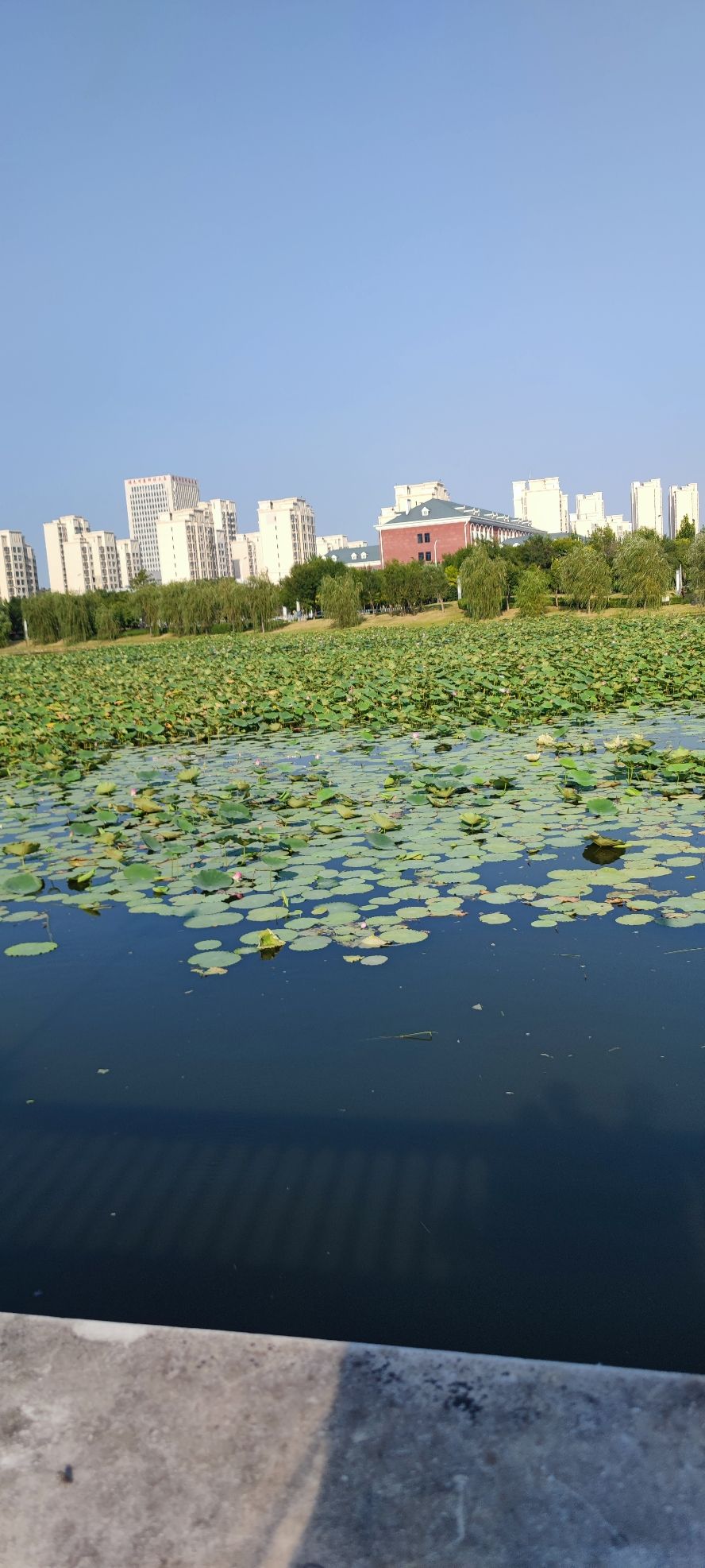 北辰新天地栖凤湖旅行图片 1