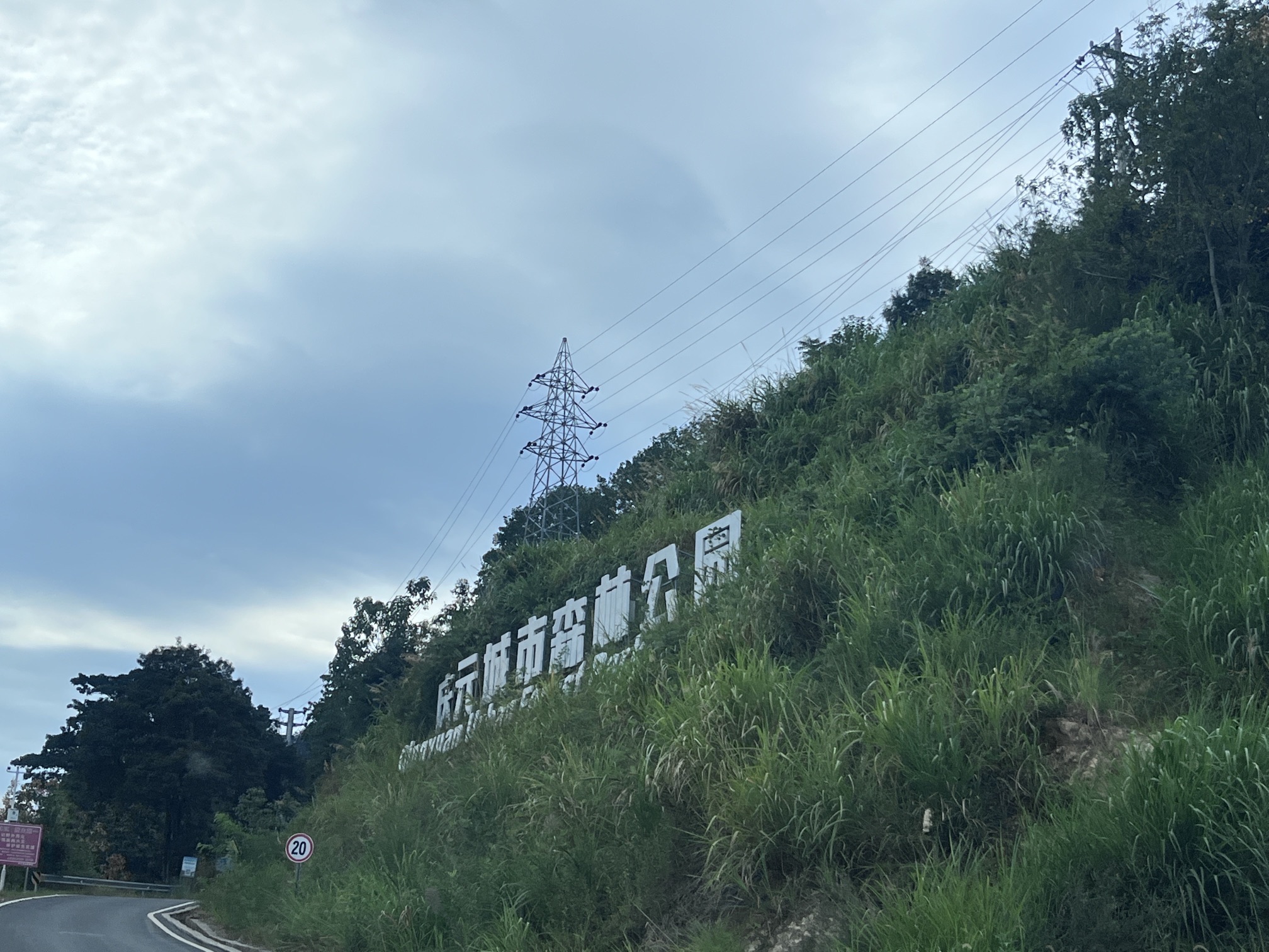 庆元城市森林公园旅行图片 3