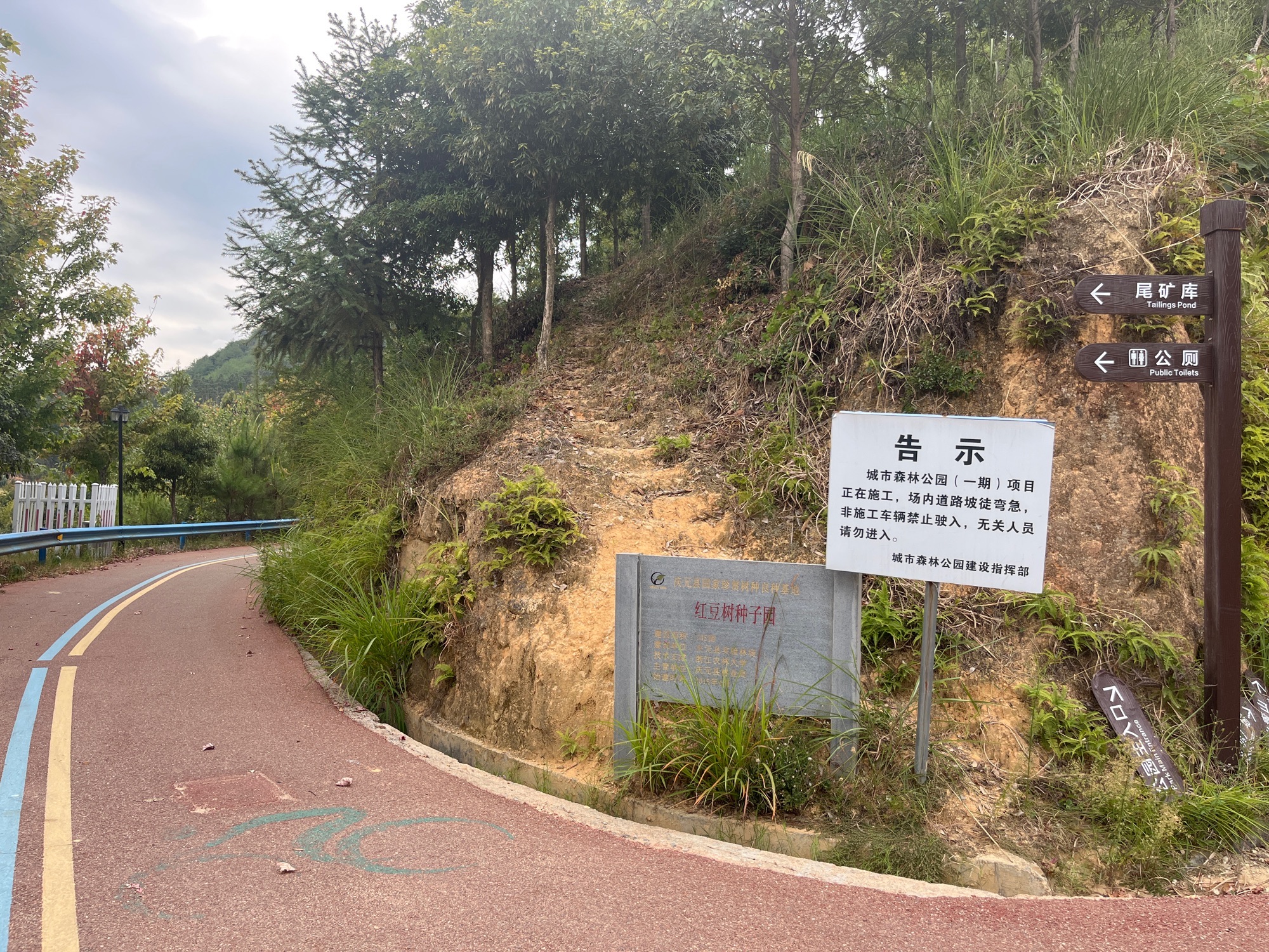 庆元城市森林公园旅行图片 1