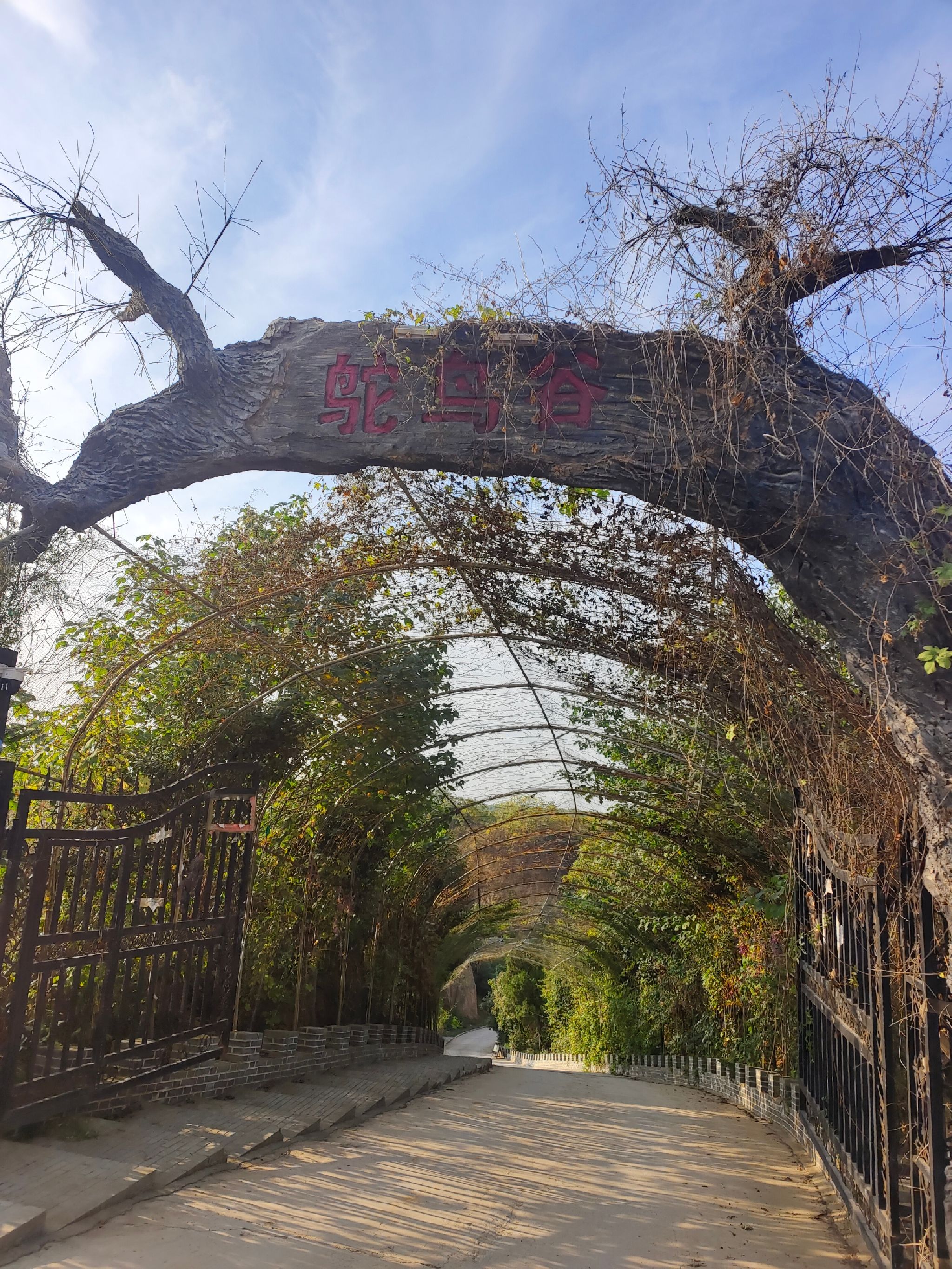 鸵鸟谷旅行图片 1