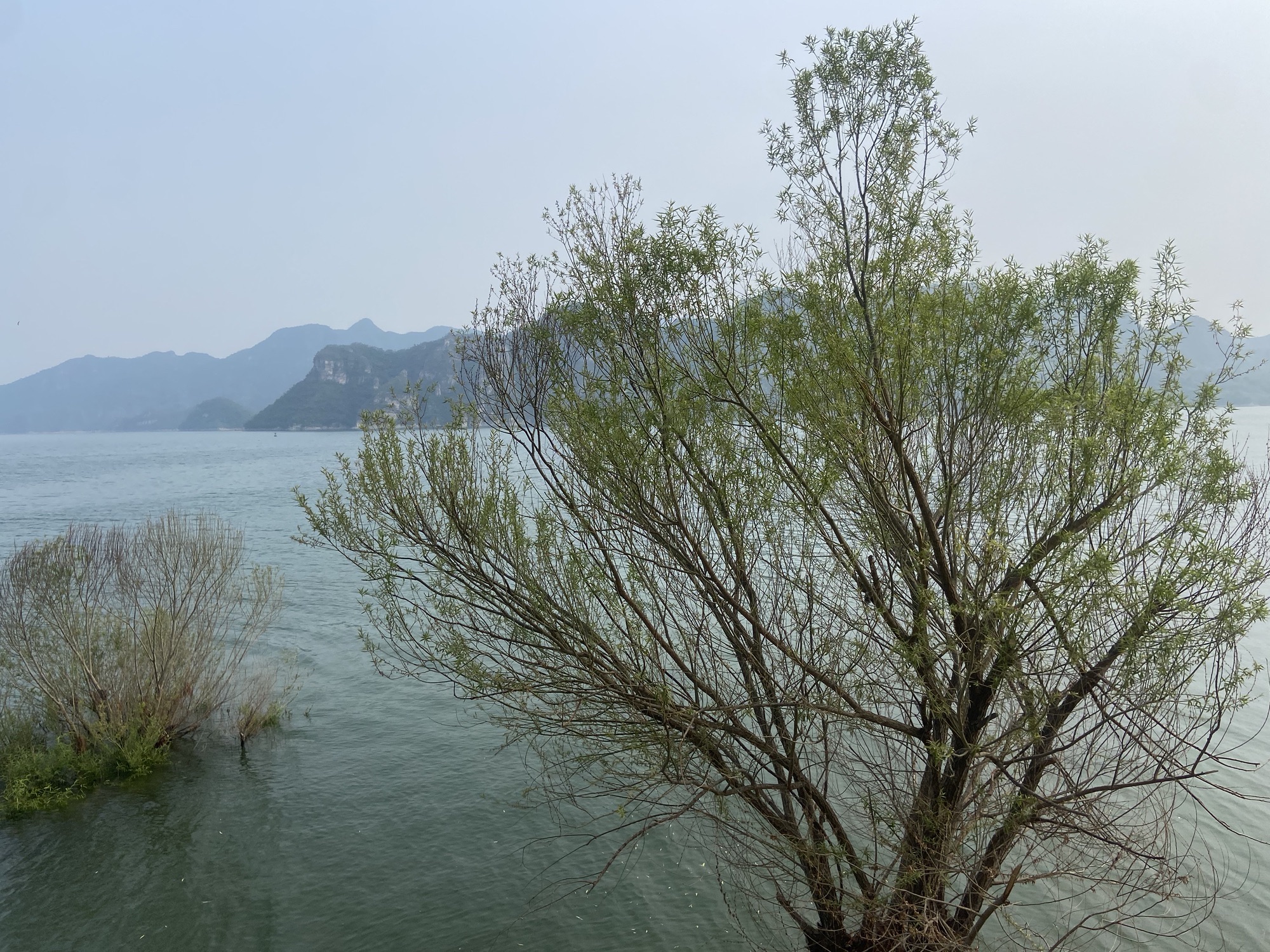 李密山景点