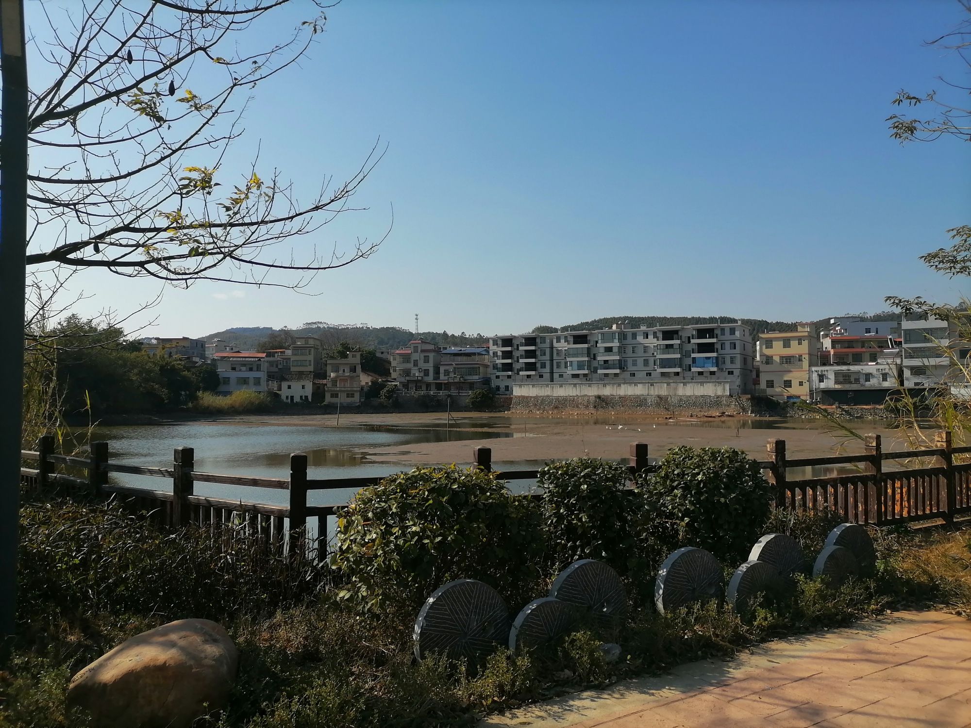 大塘人民公园旅行图片 3