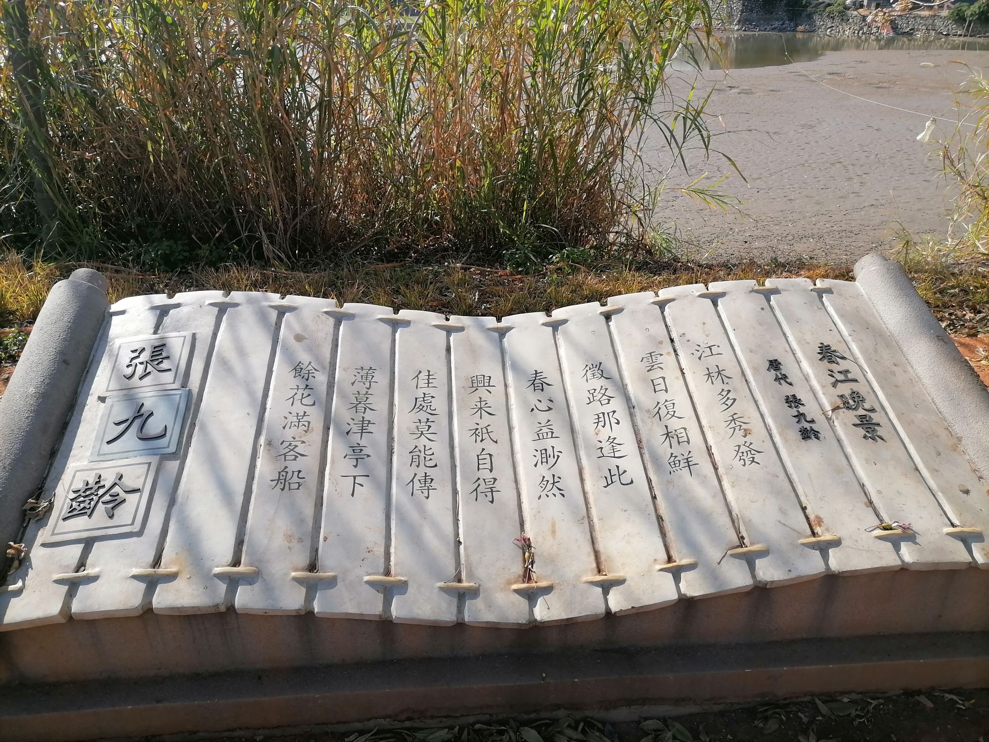 大塘人民公园旅行图片 2