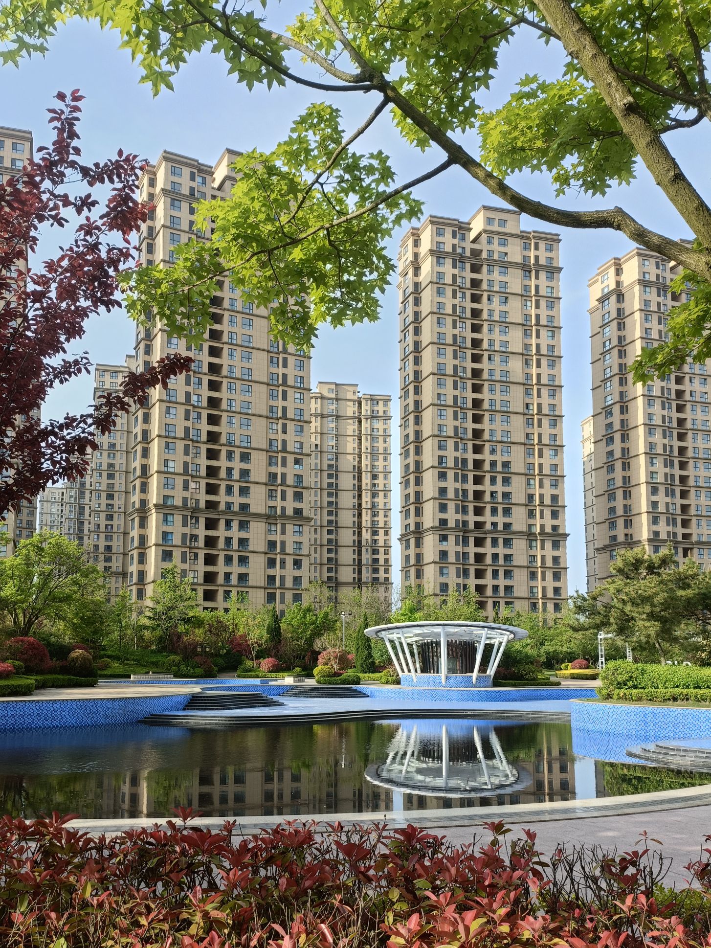 银龙湾公园旅行图片 1