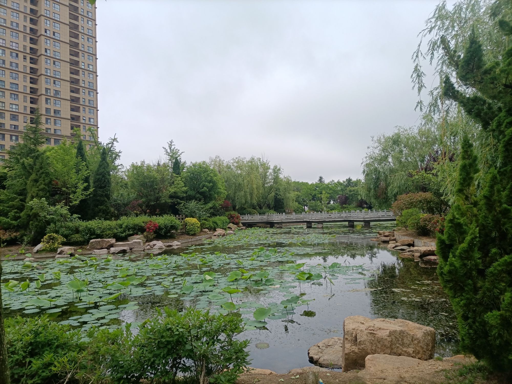 银龙湾公园旅行图片 3