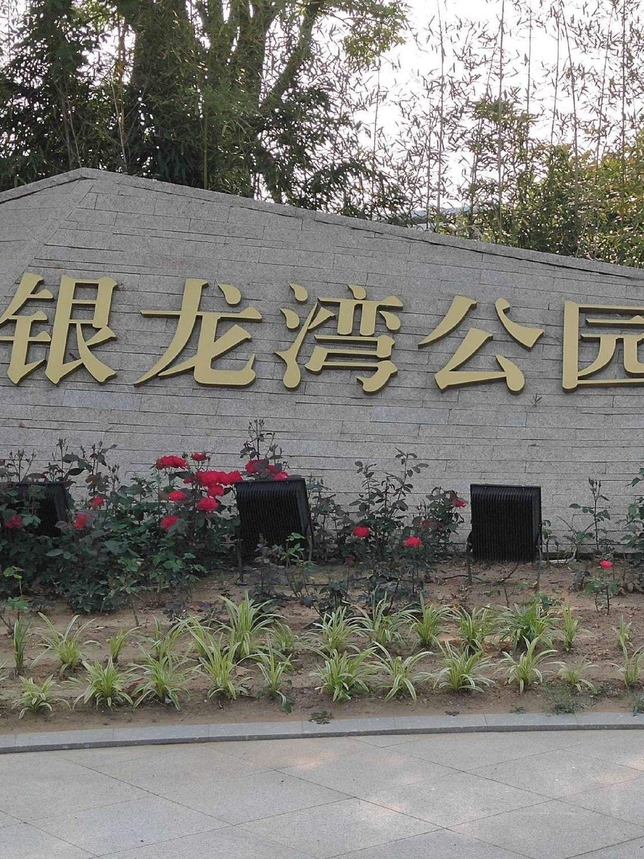 银龙湾公园旅行图片 1