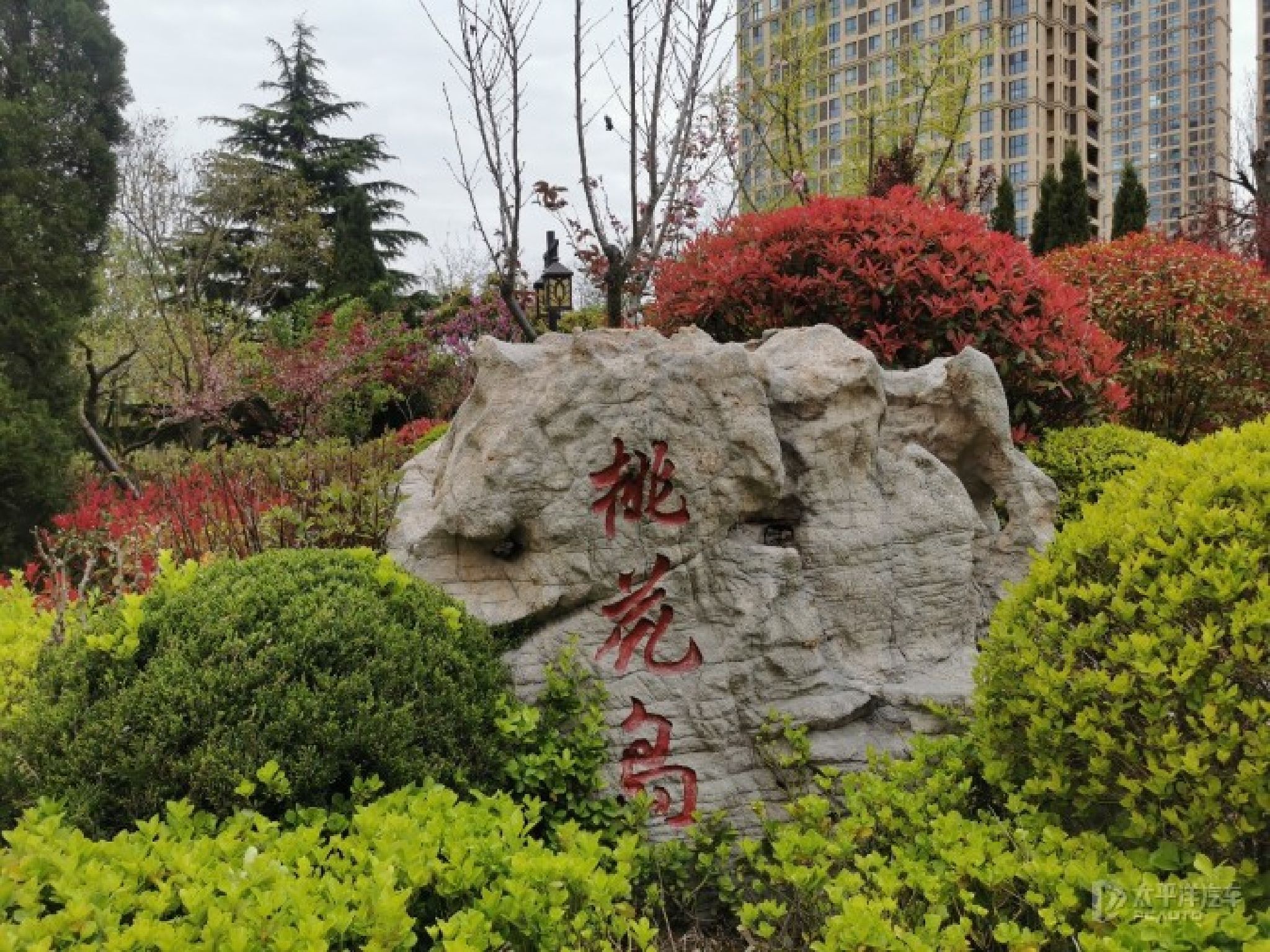 银龙湾公园旅行图片 3
