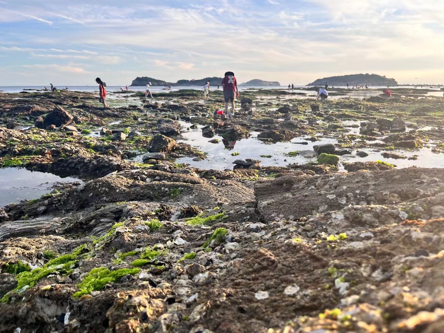 小付家庄海滩旅行图片 2
