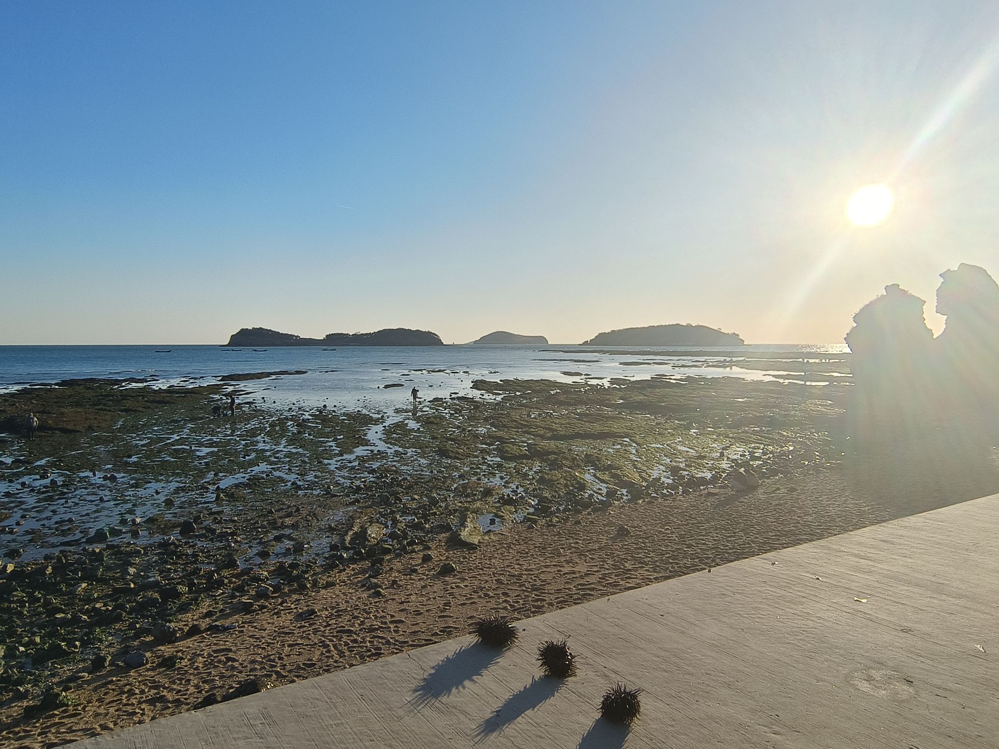 小付家庄海滩旅行图片 2