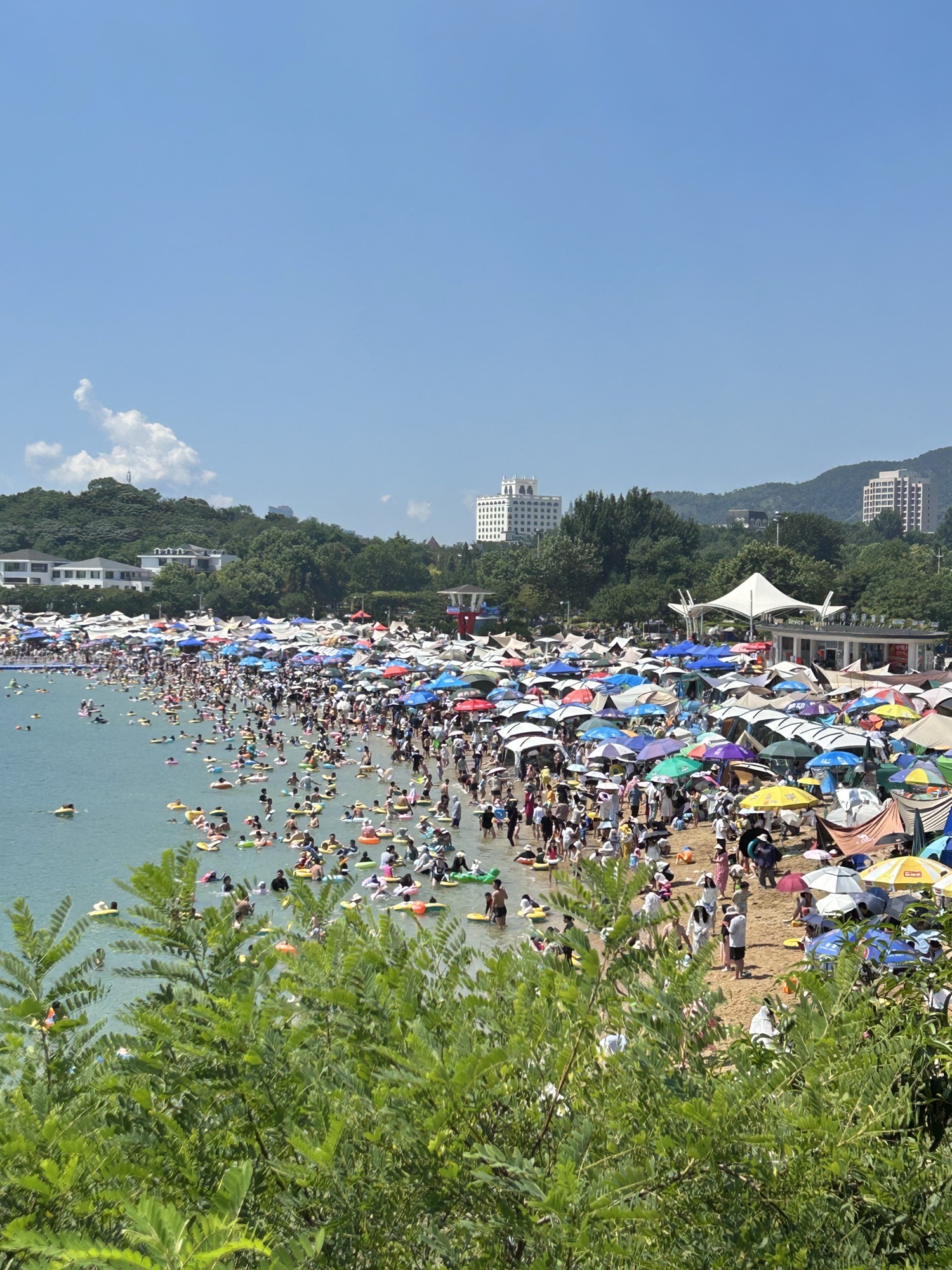小付家庄海滩旅行图片 1