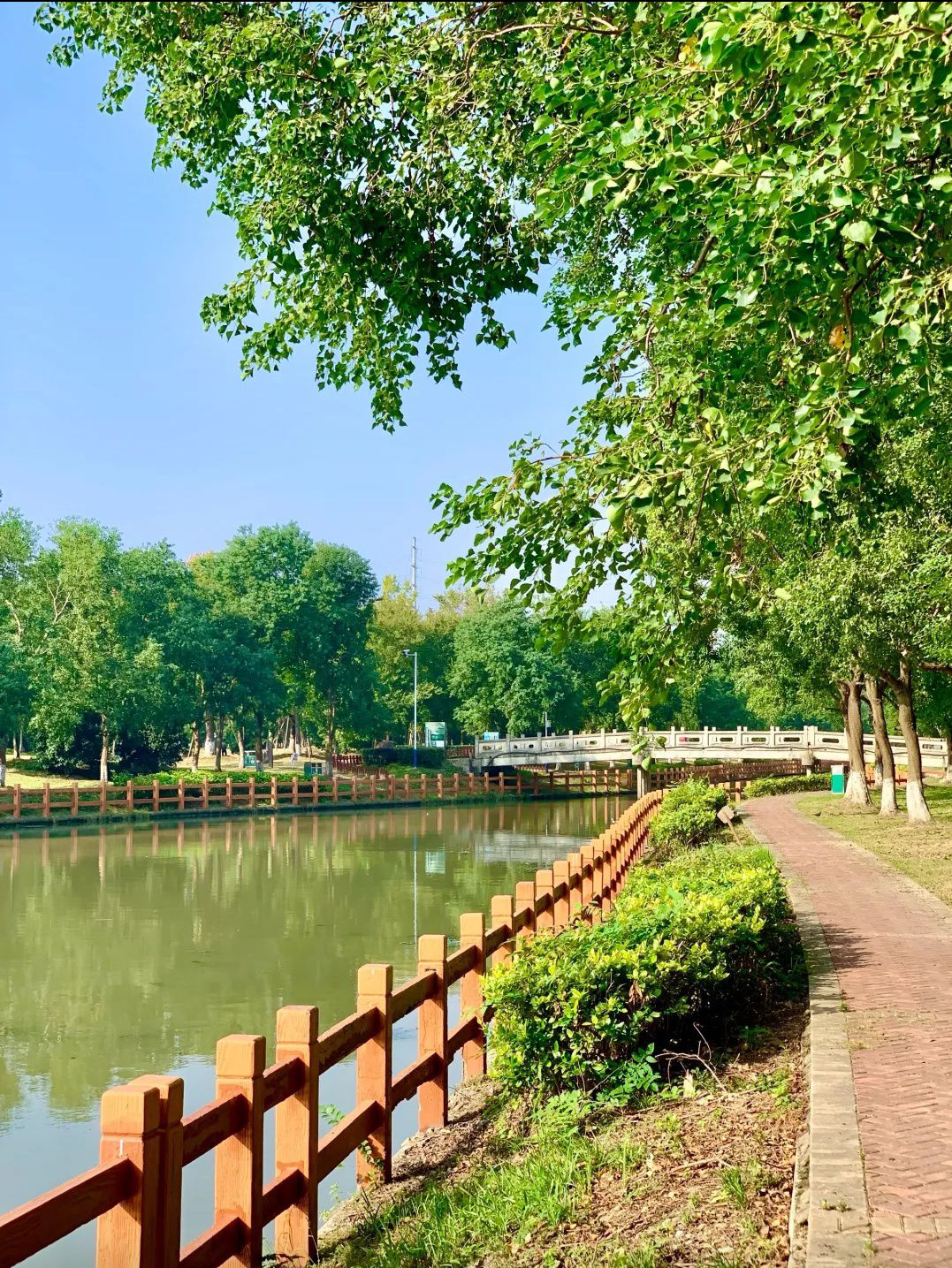 吴家浜公园旅行图片 1