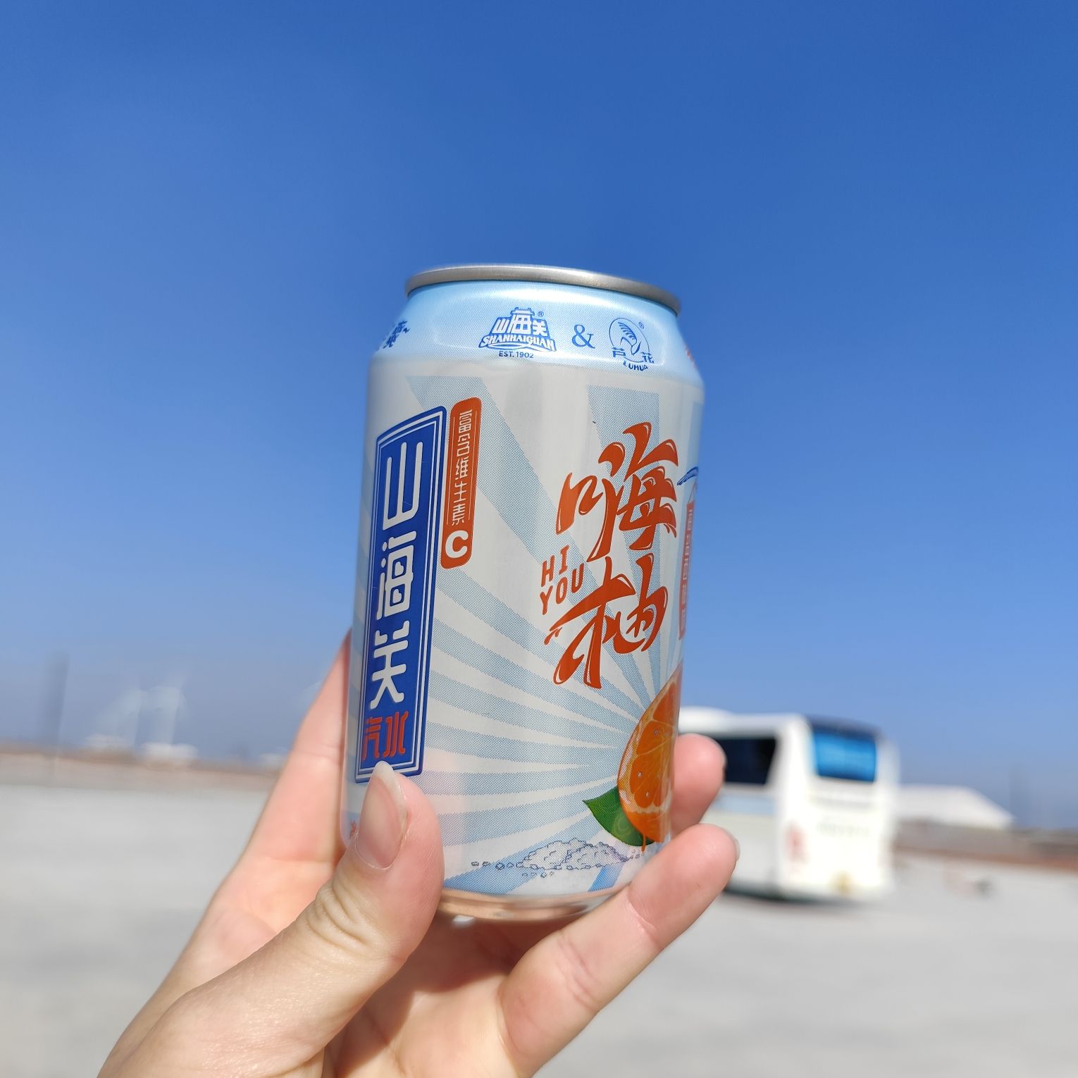 天津长芦海盐文化旅游区旅行图片 2