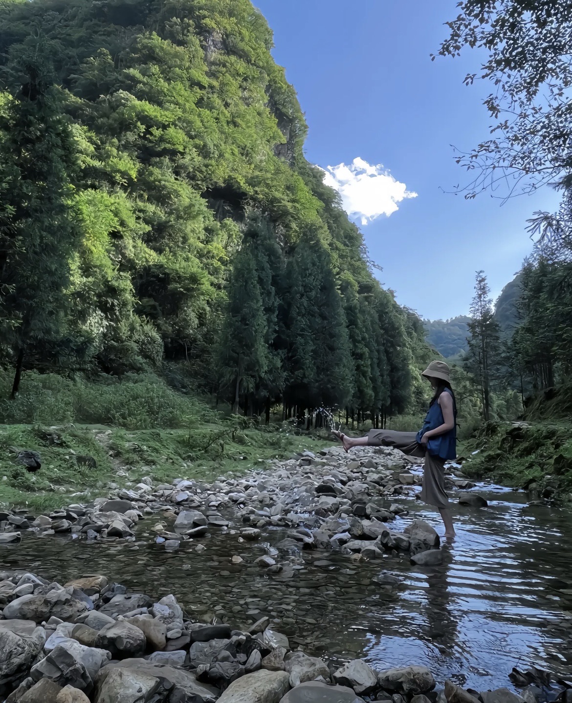 福宝国家森林公园旅行图片 1