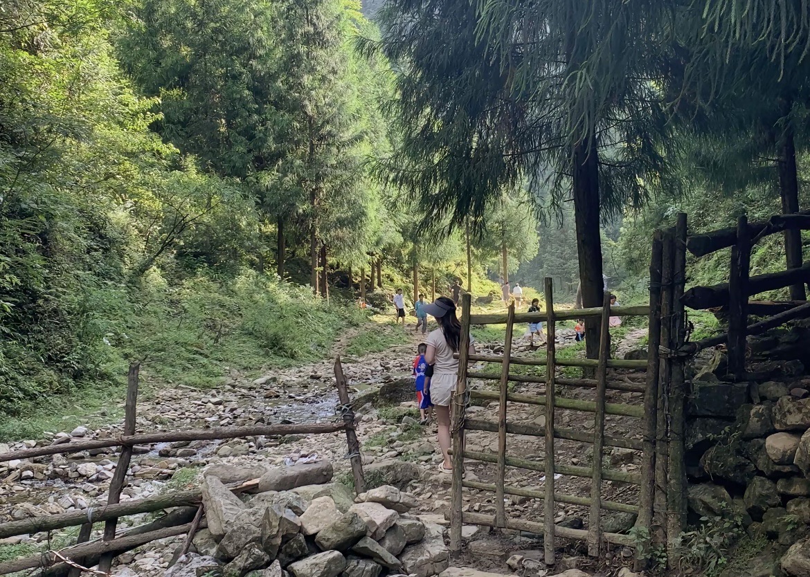 福宝国家森林公园旅行图片 2