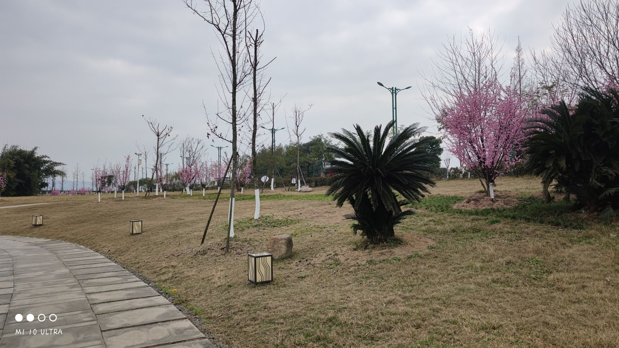 唤鱼公园旅行图片 3