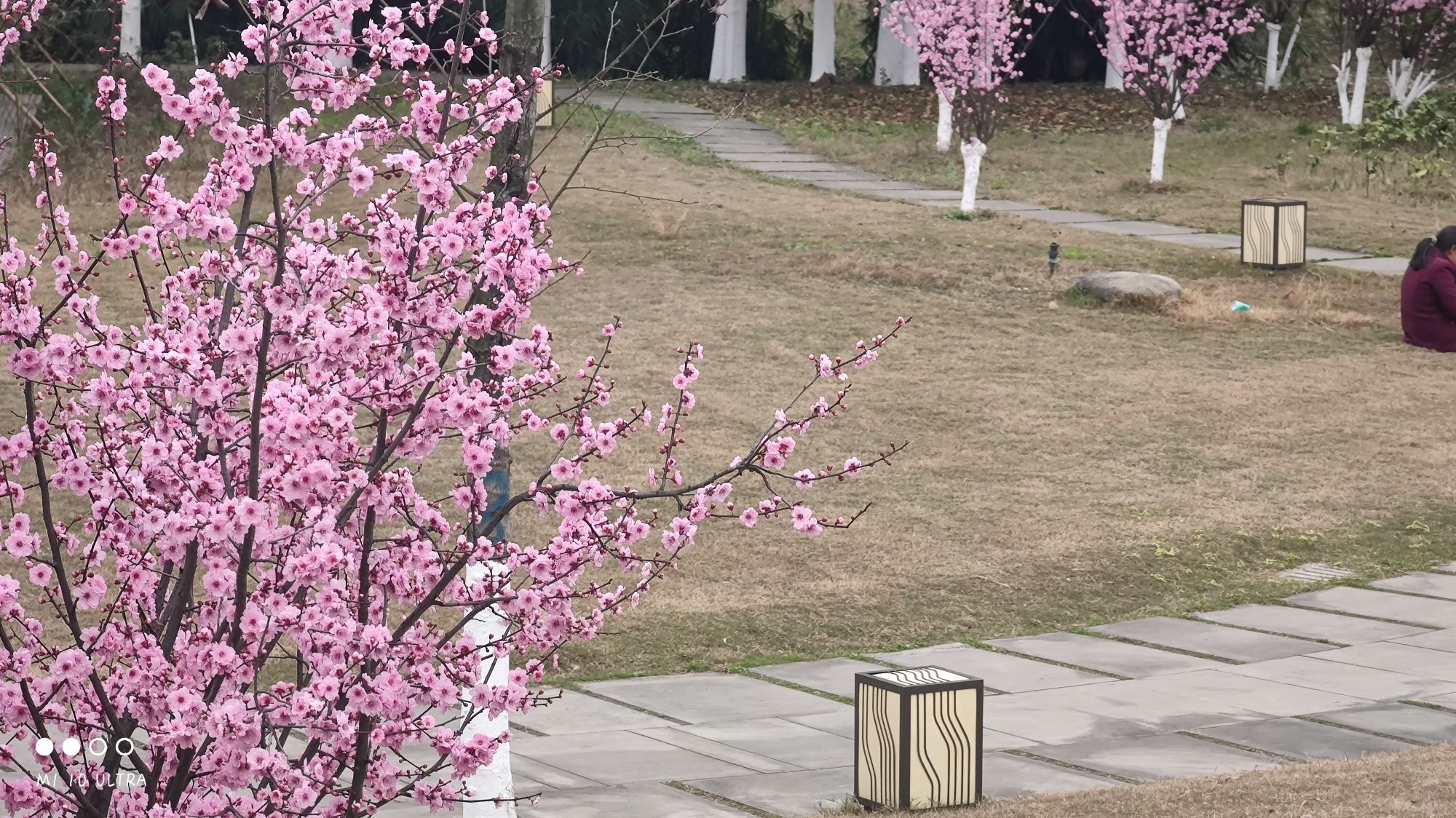 唤鱼公园旅行图片 1