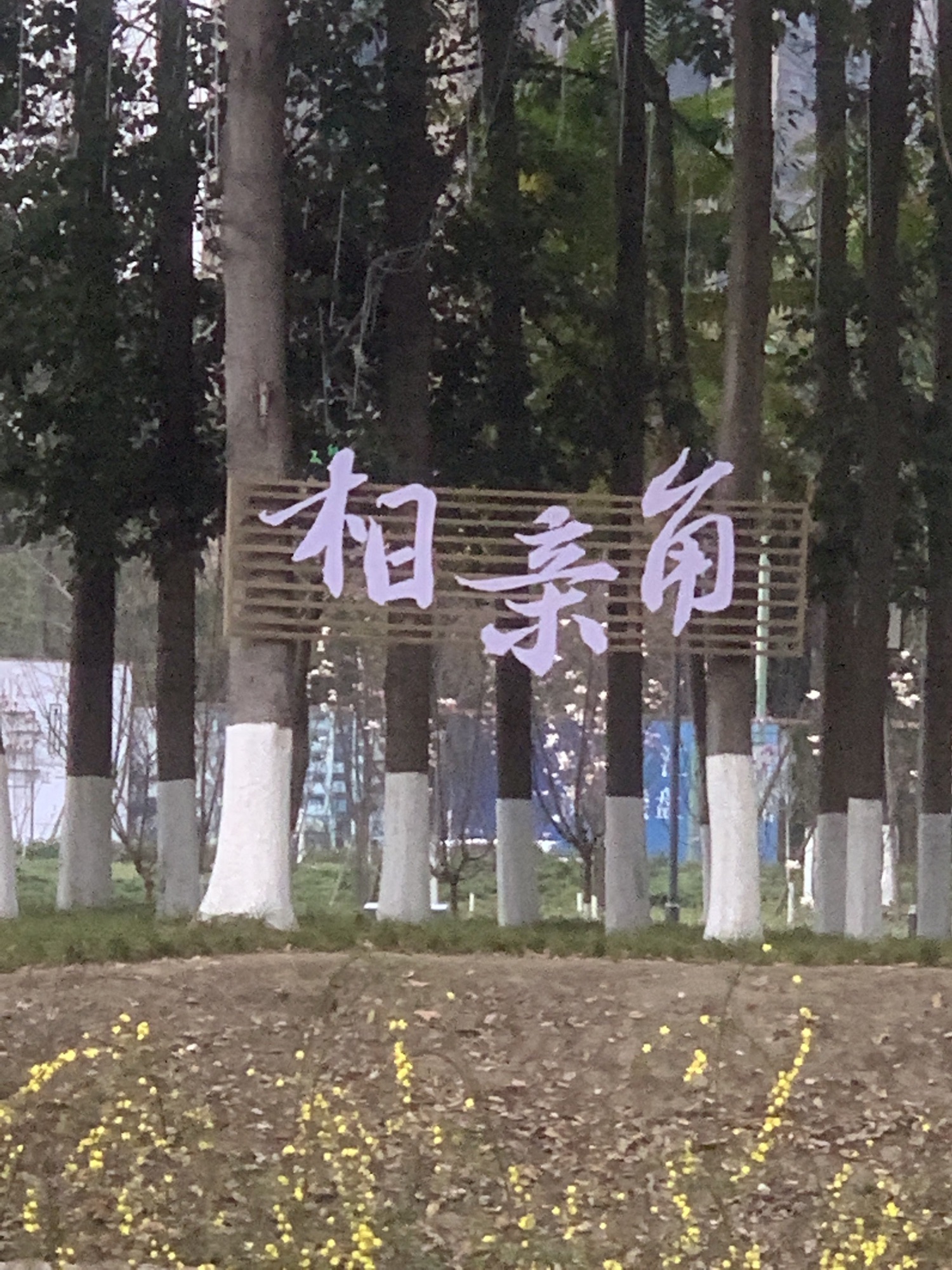 唤鱼公园旅行图片 1