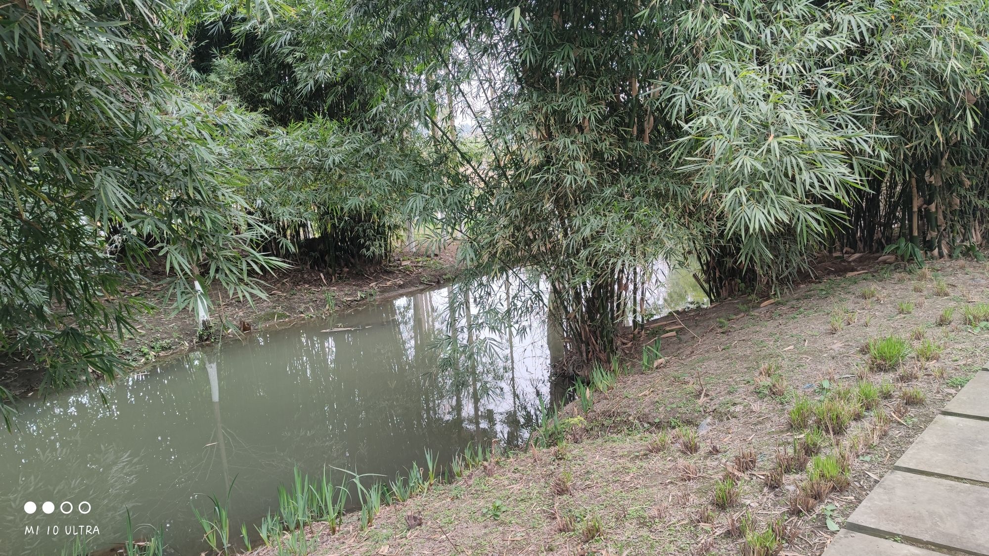唤鱼公园旅行图片 2