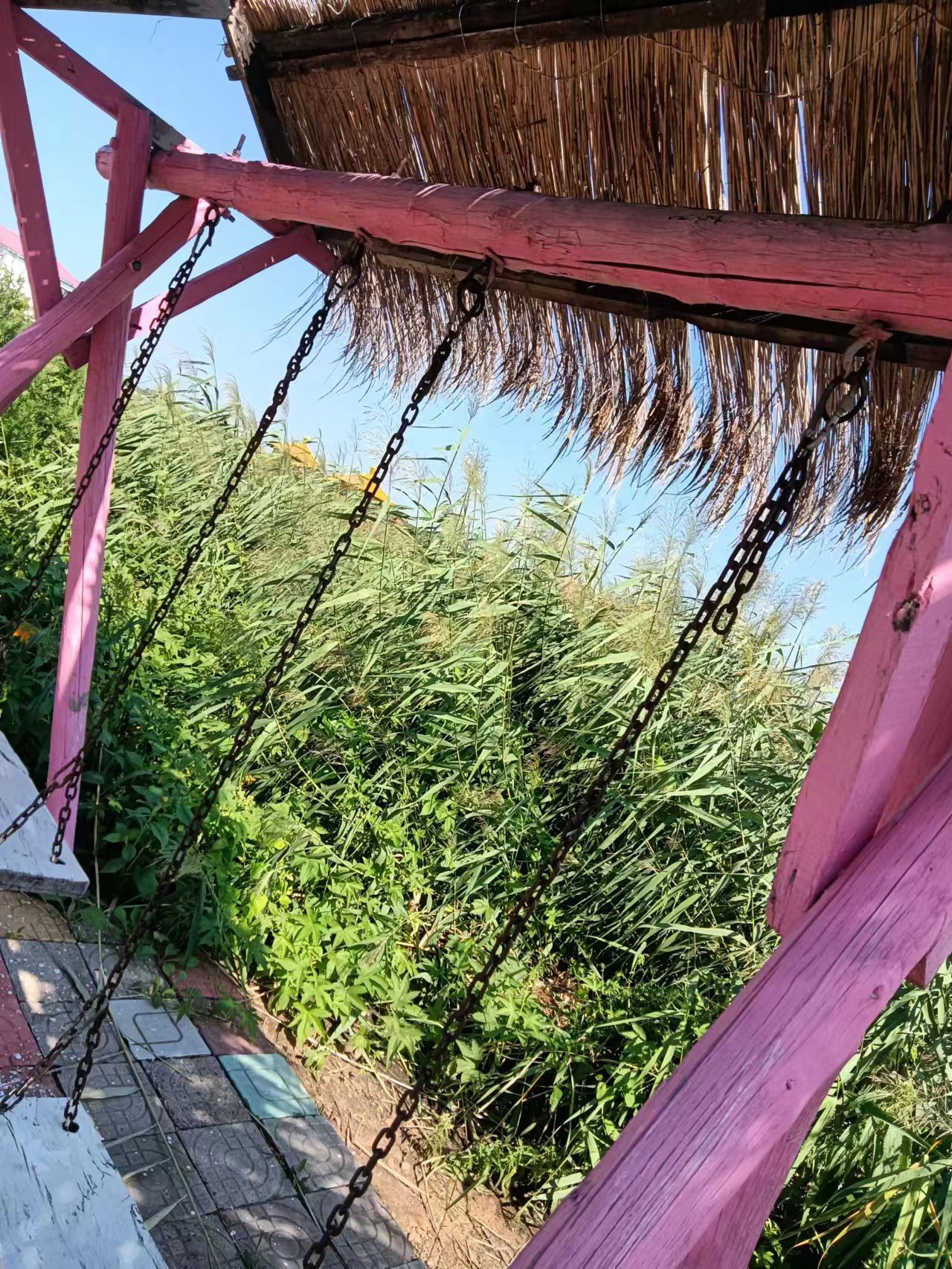雁翔湖景区旅行图片 3