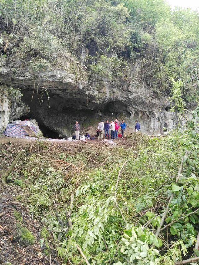 招果洞遗址旅行图片 1