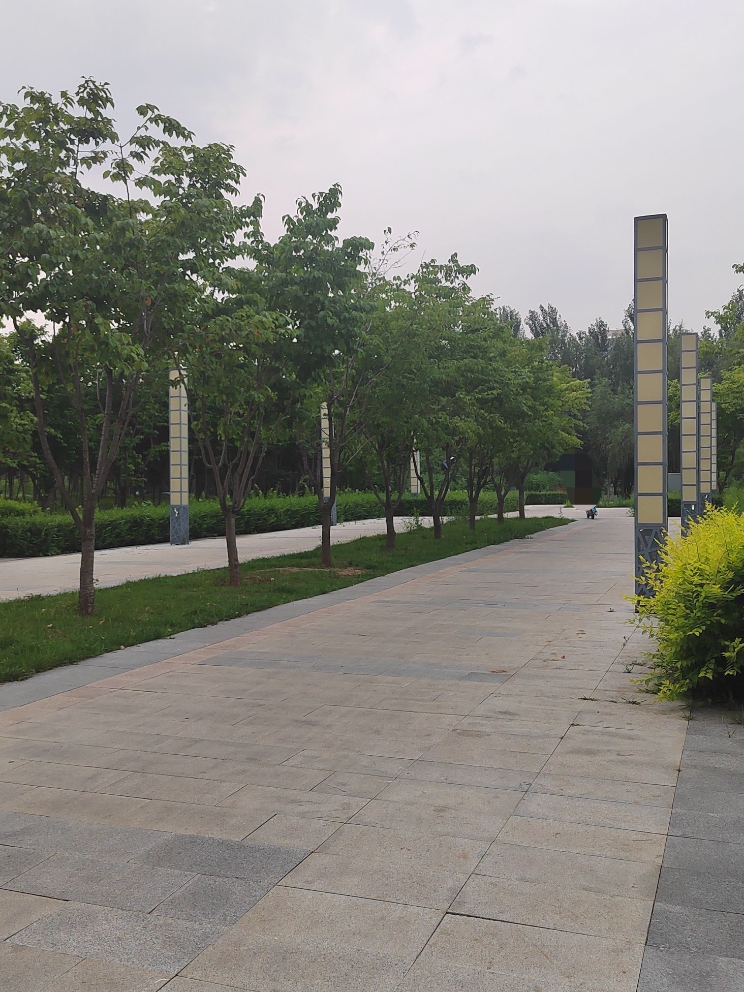 乐活公园旅行图片 3