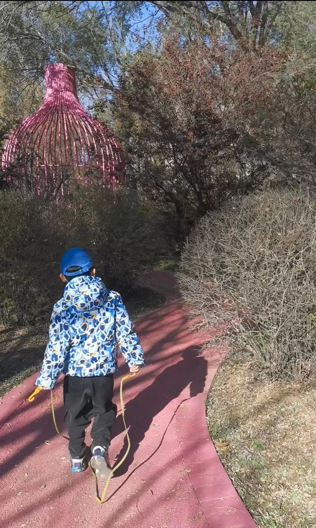 乐活公园旅行图片 3