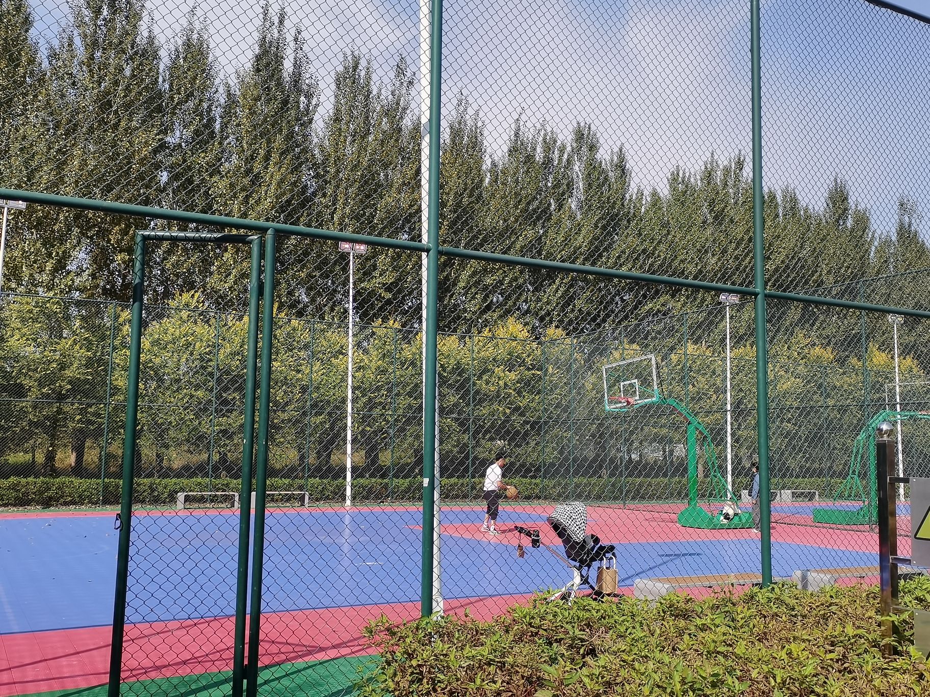 乐活公园旅行图片 3